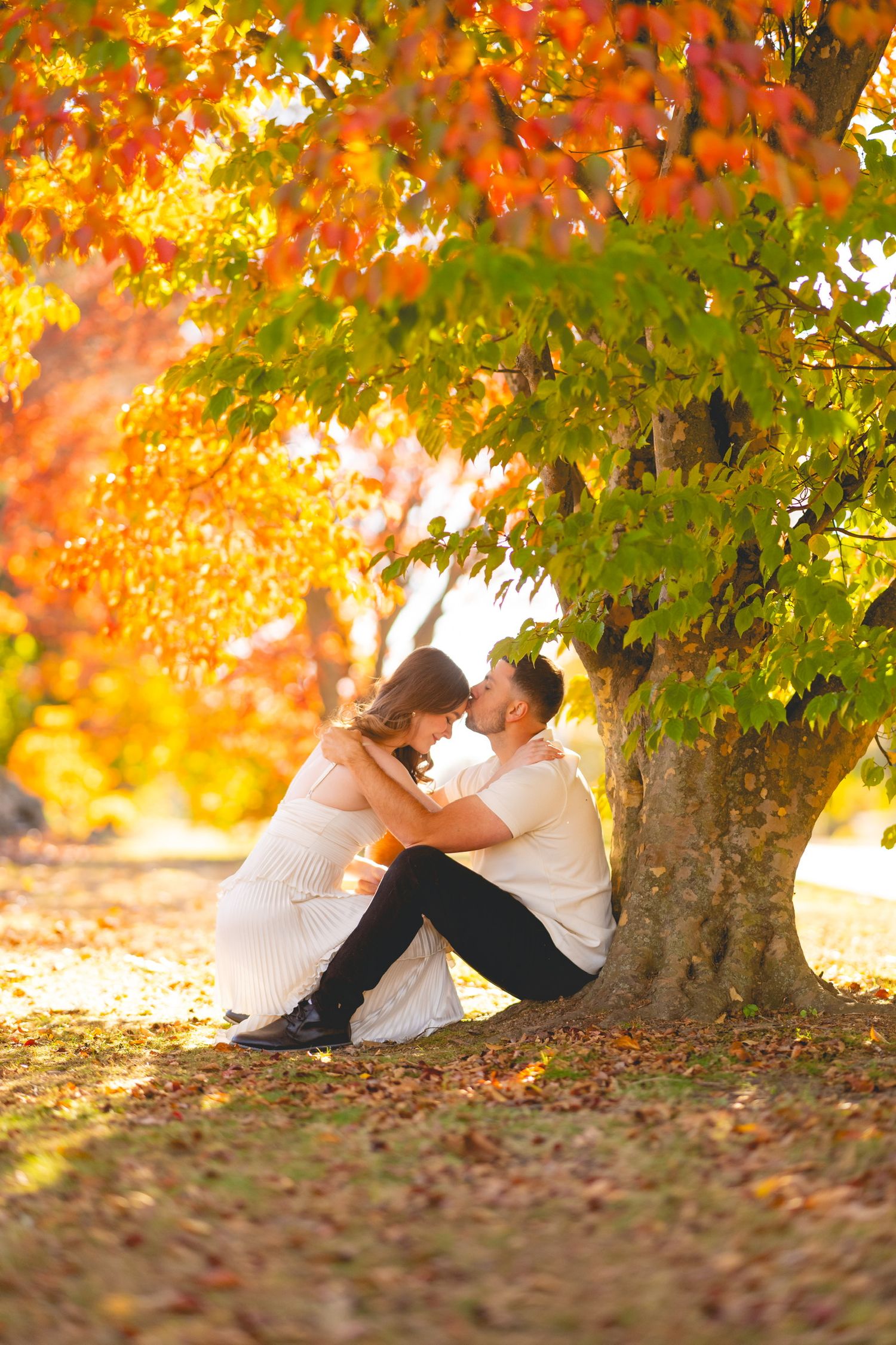 A couple sits beneath a large autumn tree with vibrant orange and red leaves in Connecticut.