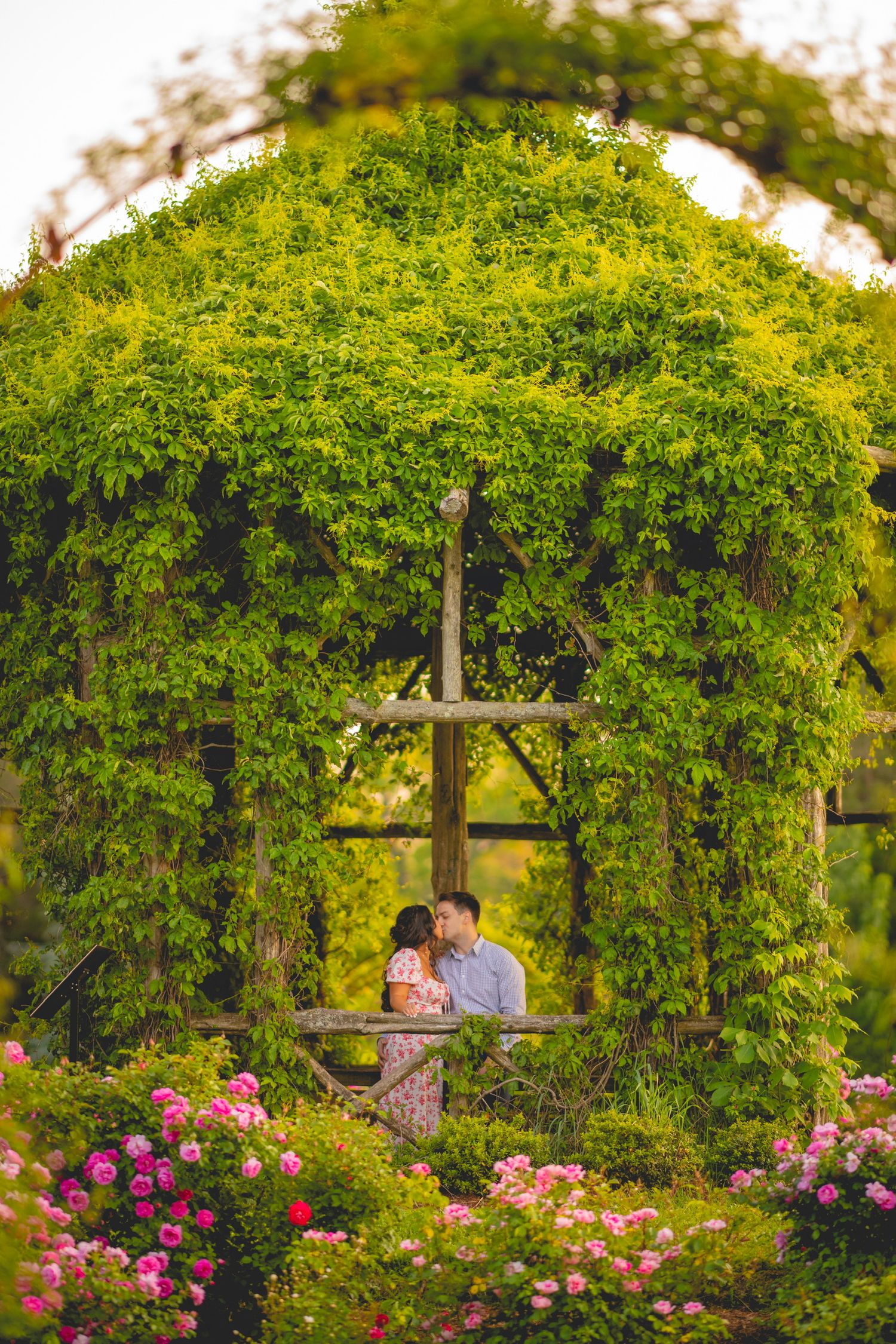 A couple shares an intimate moment under a lush green garden arbor surrounded by roses.