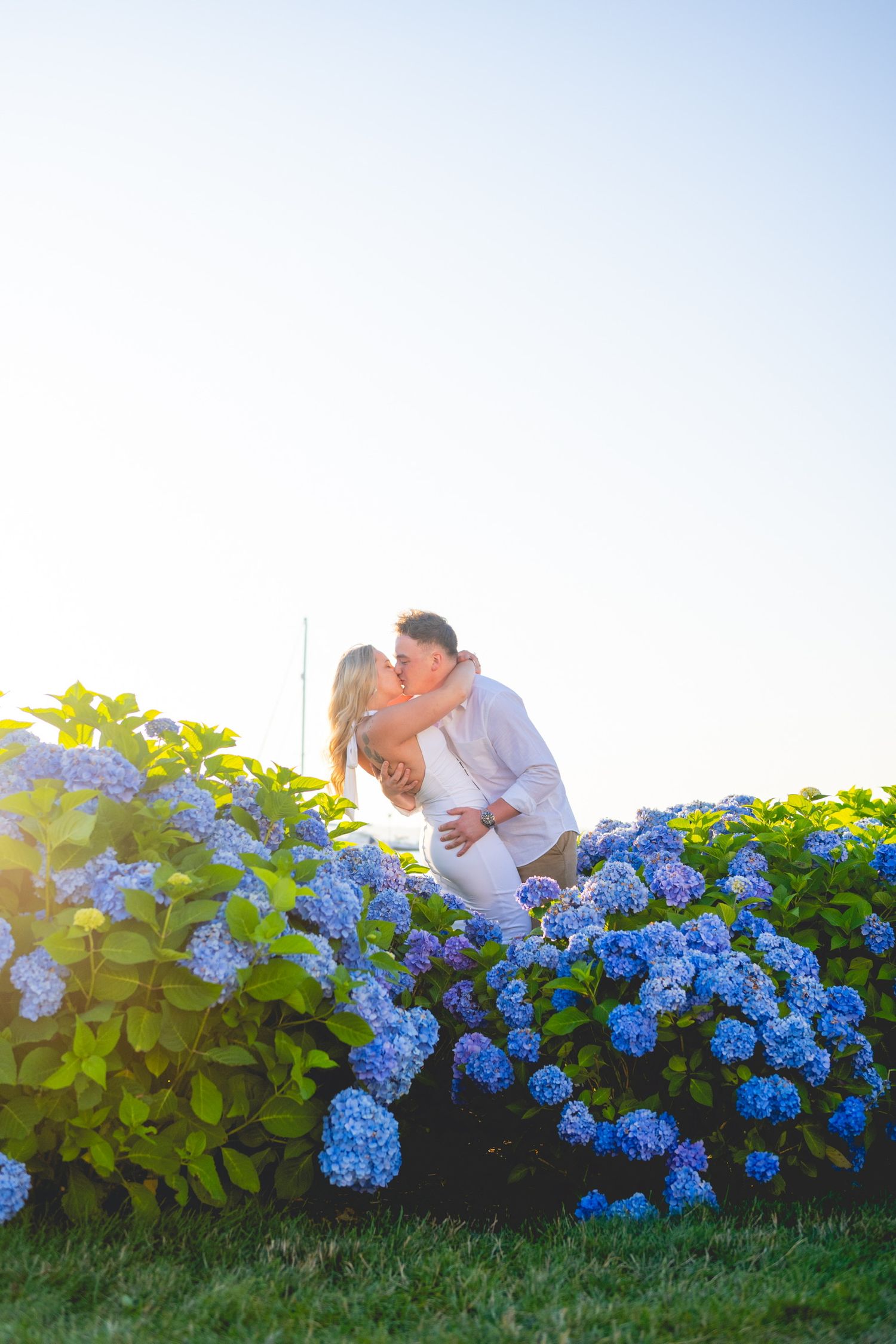 Romantic couple poses among blooming blue hydrangea bushes at sunset.