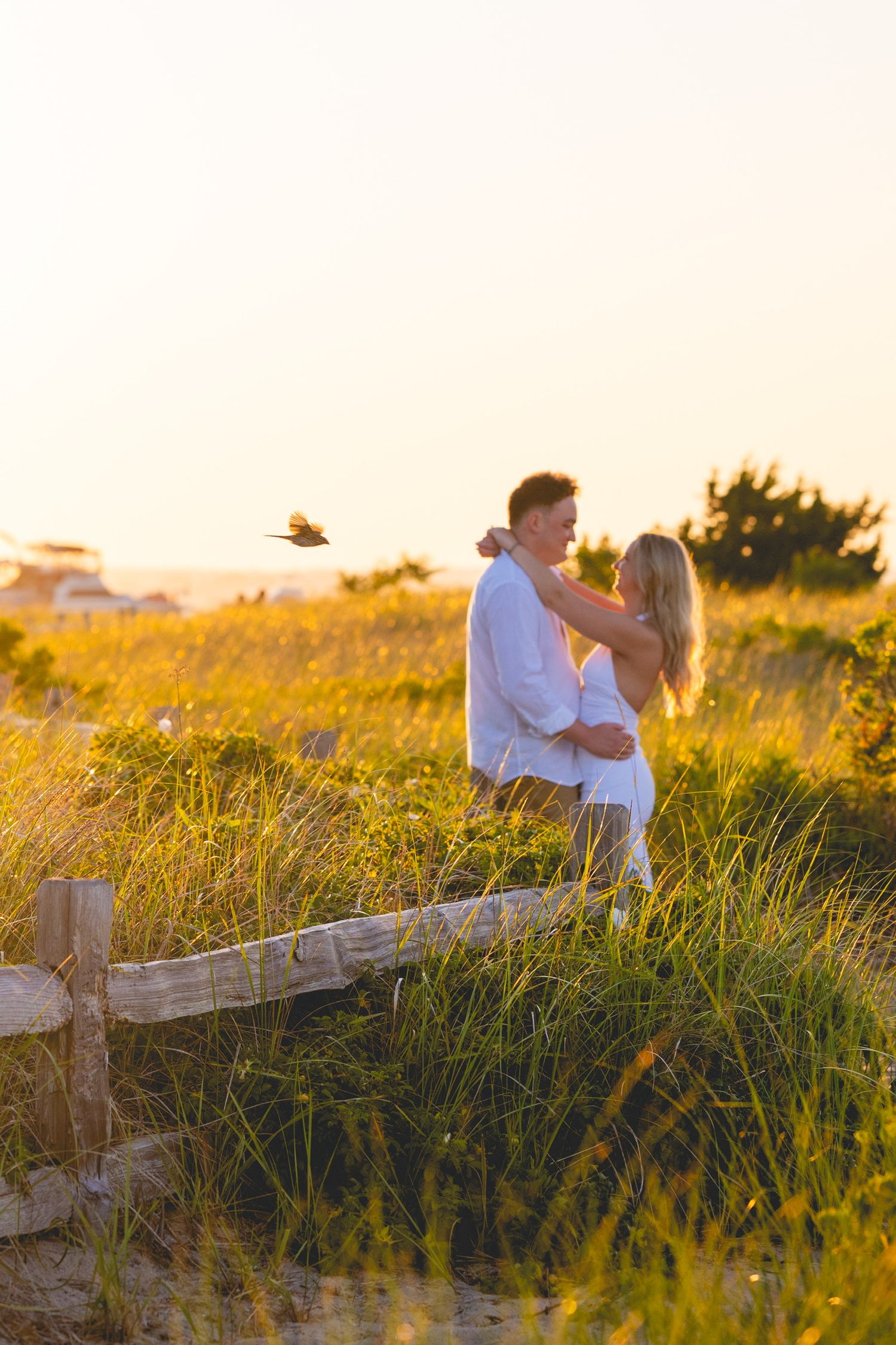 A couple shares a tender moment on a rustic fence during golden hour in Watch Hill, Rhode Island.
