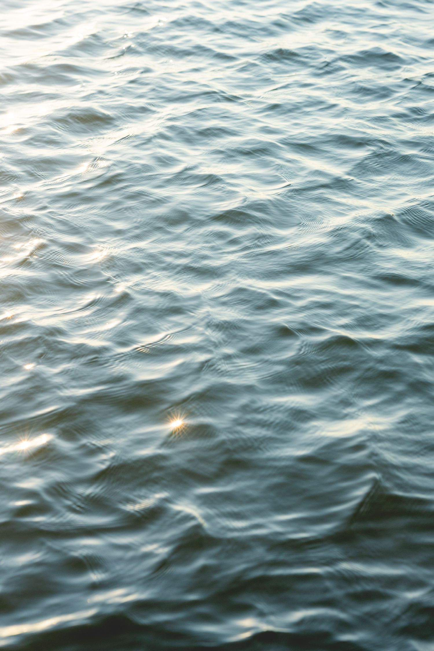 Rippling water surface with soft waves catching sunlight.