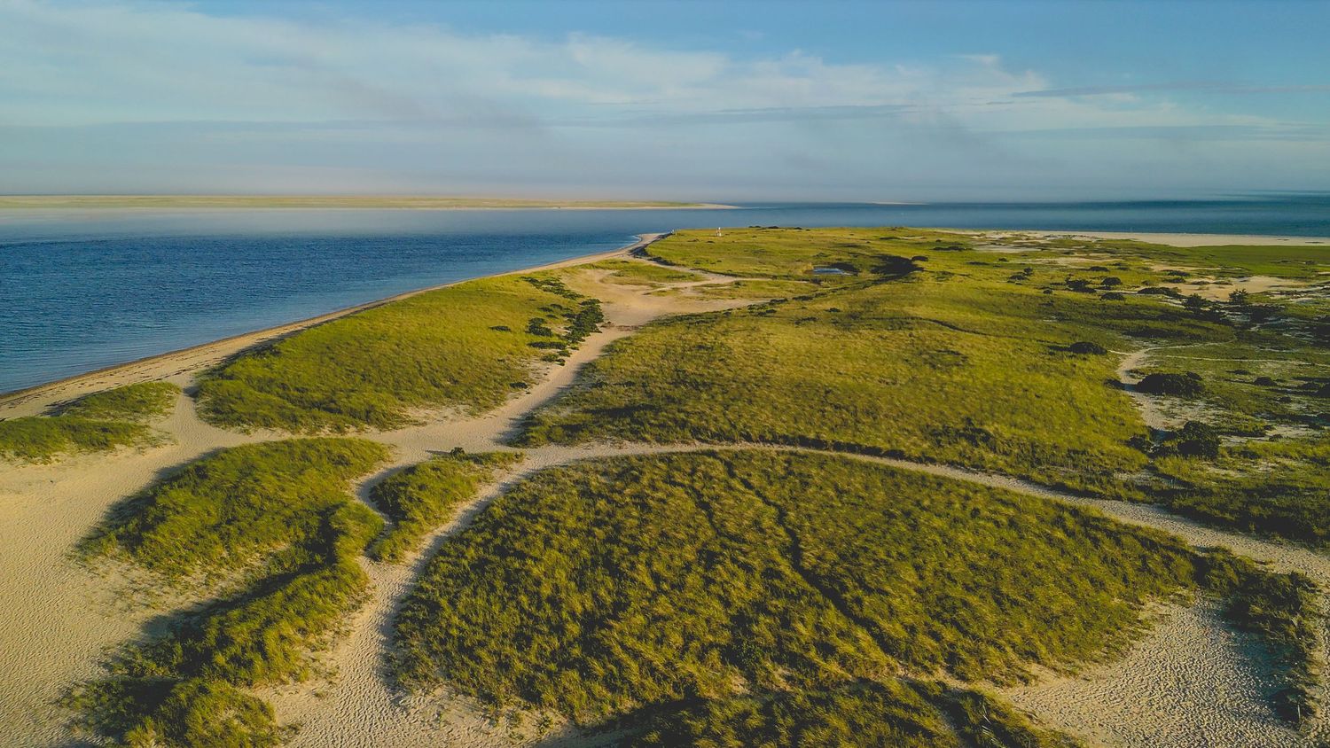 Aerial view of coastal sand dunes with winding paths and green vegetation along the ocean shoreline.