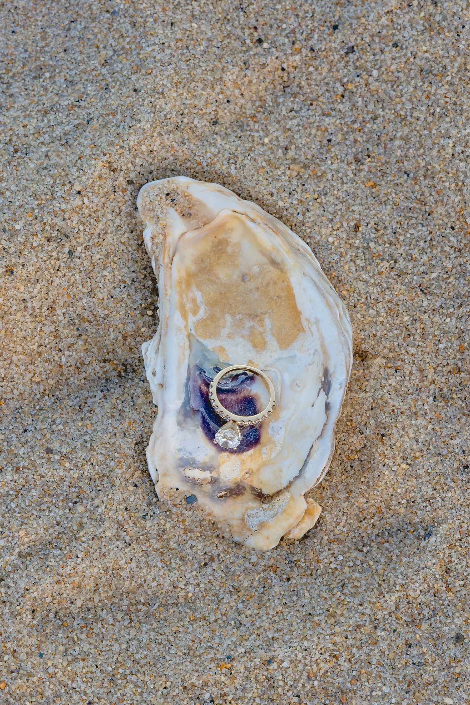 Close-up of delicate seashells with engagement ring on beach.