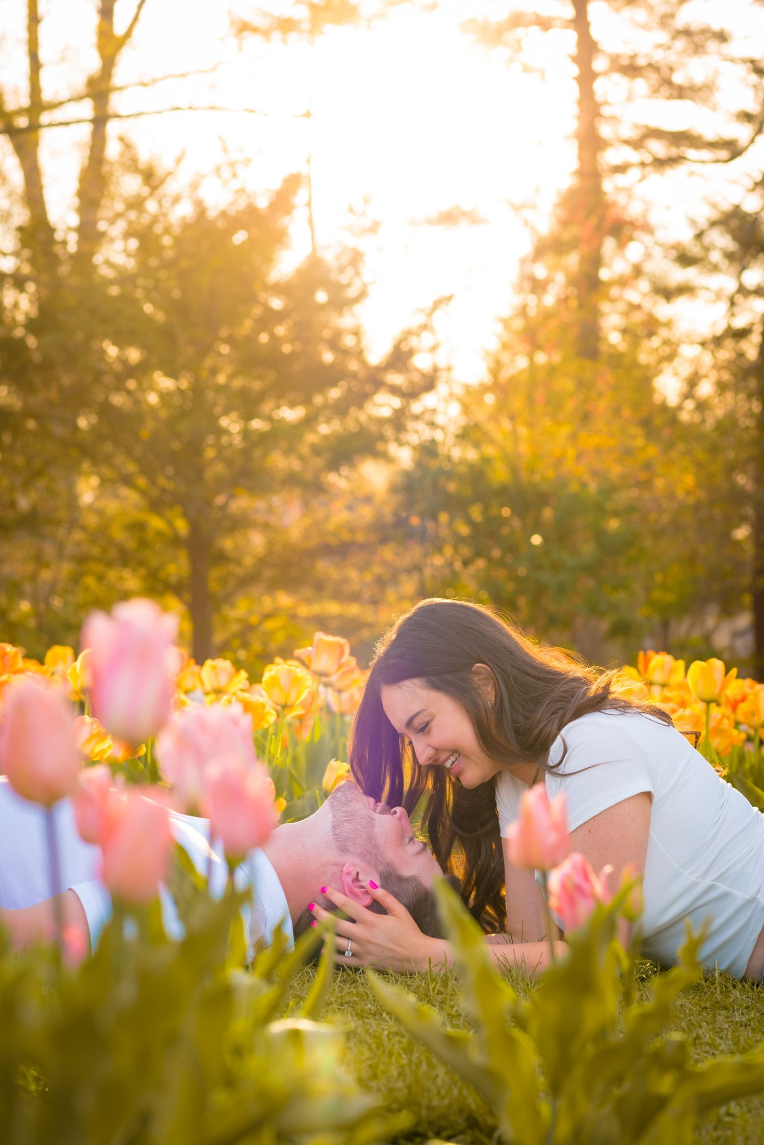 Romantic couple lying in grass among pink and yellow tulips at Elizabeth park and rose garden in Connecticut at sunset.