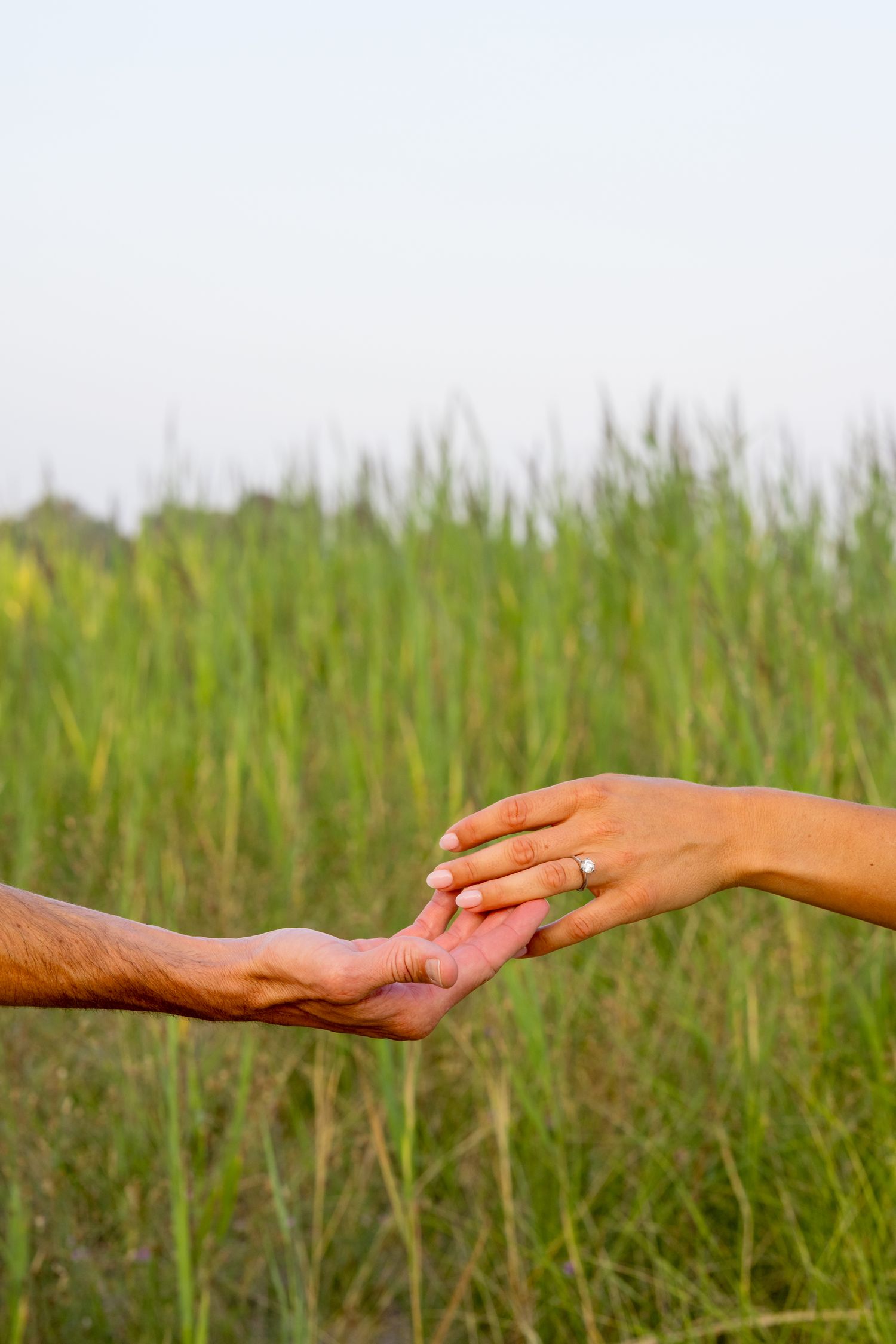 Two hands reaching out to hold each other against a backdrop of tall green grass.