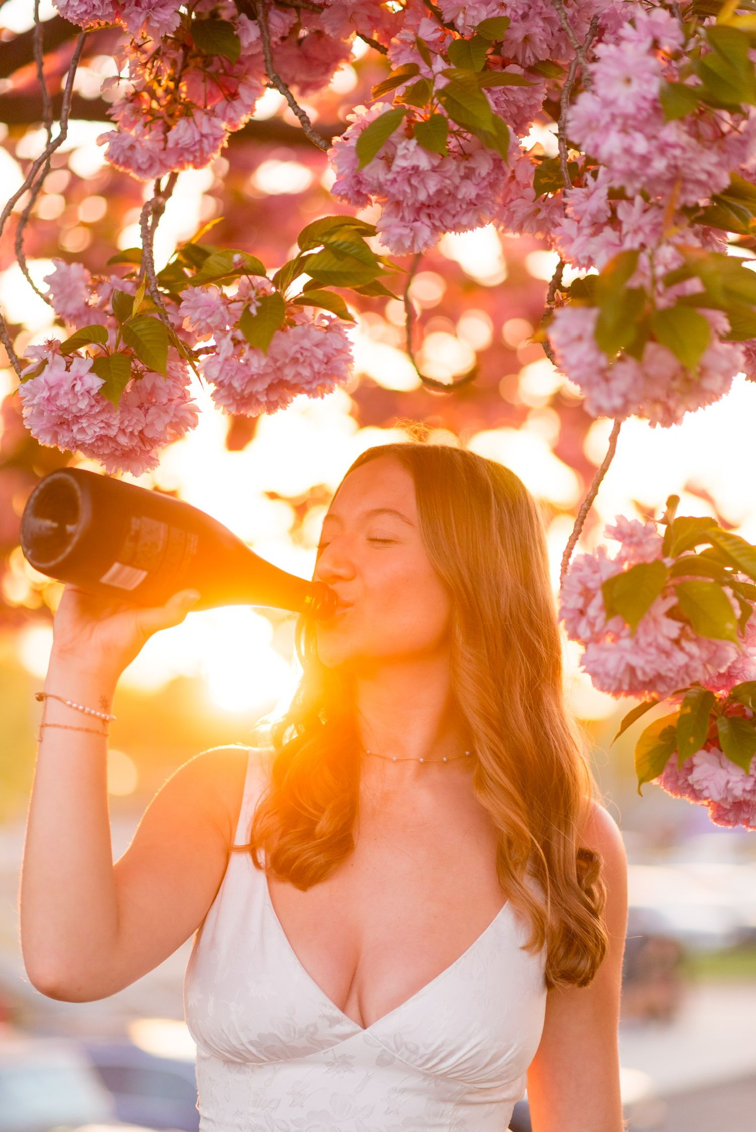 Cherry blossoms frame a golden sunset graduation portrait session at Sacred Heart University.