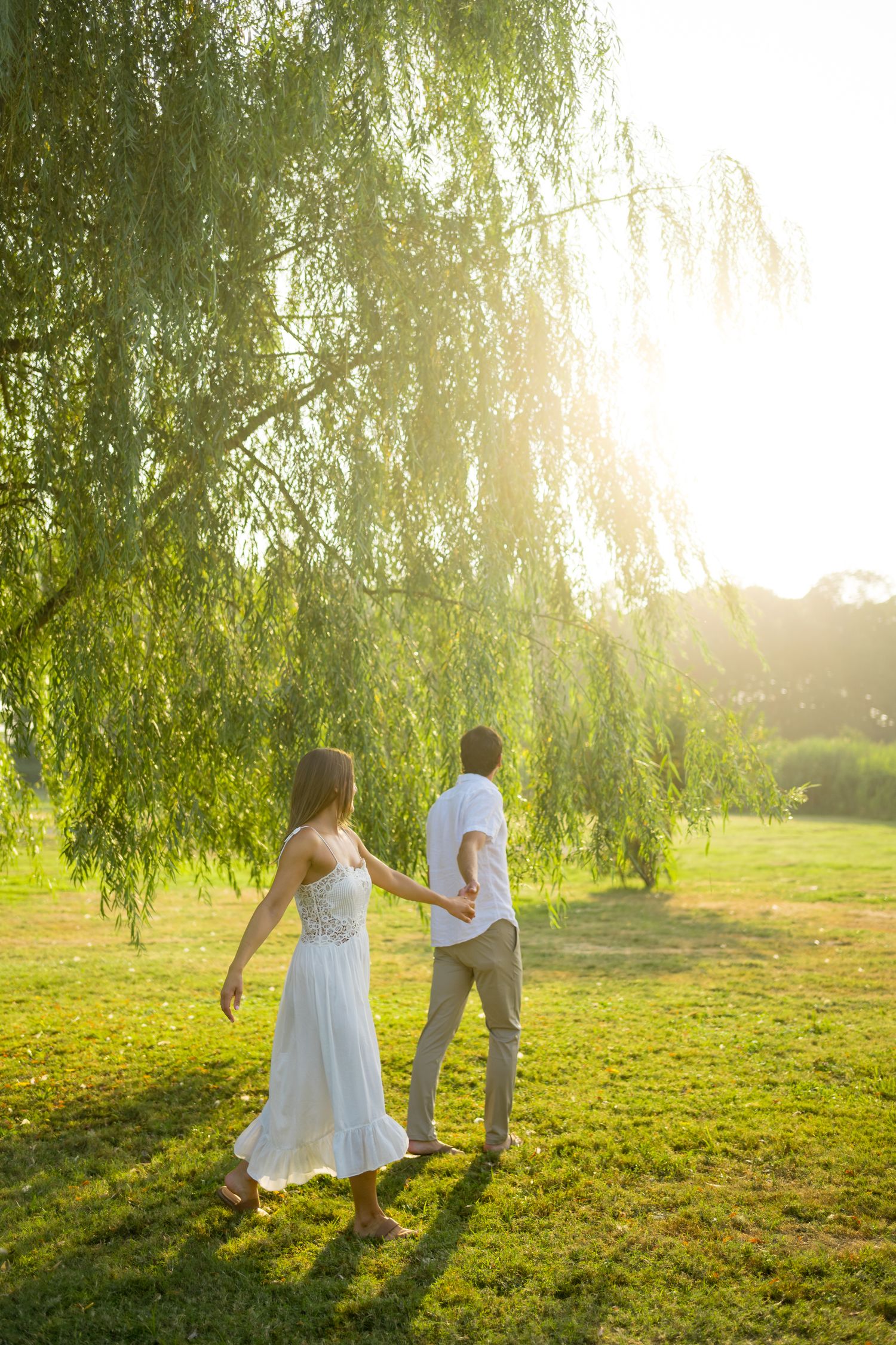 A couple walks hand in hand under a sunlit weeping willow tree in a park.
