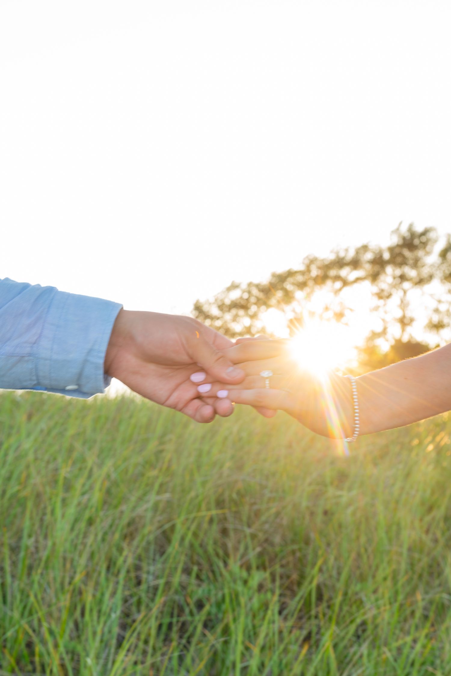 Close-up of hands holding against sunset through beach grass in Cape Cod.