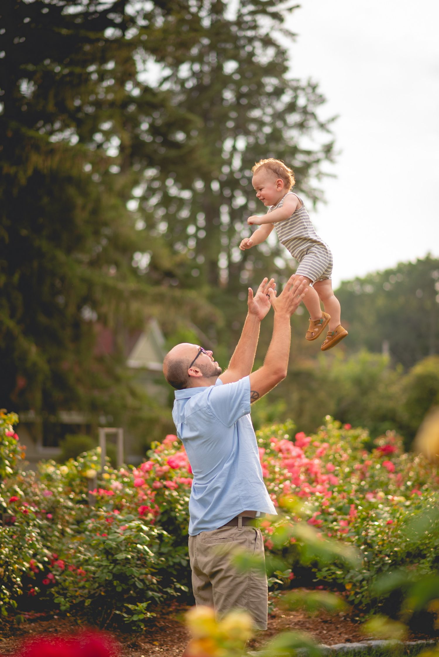 Playful moments in a garden with blooming roses as a child is lifted joyfully into the air.