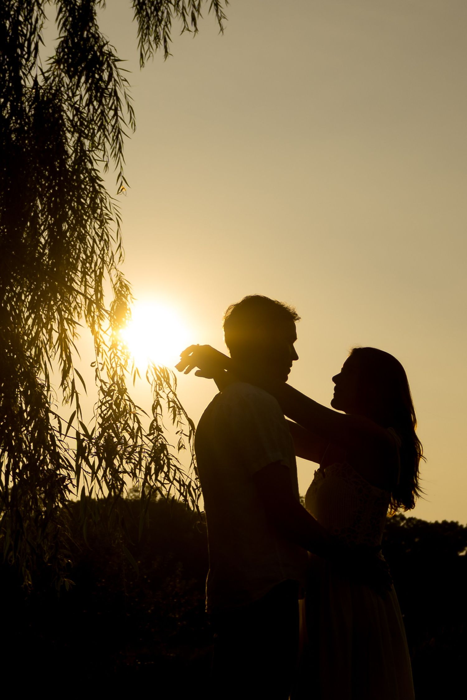 Silhouetted couple sharing an intimate moment at sunset beneath willow trees in Westport, Connecticut.
