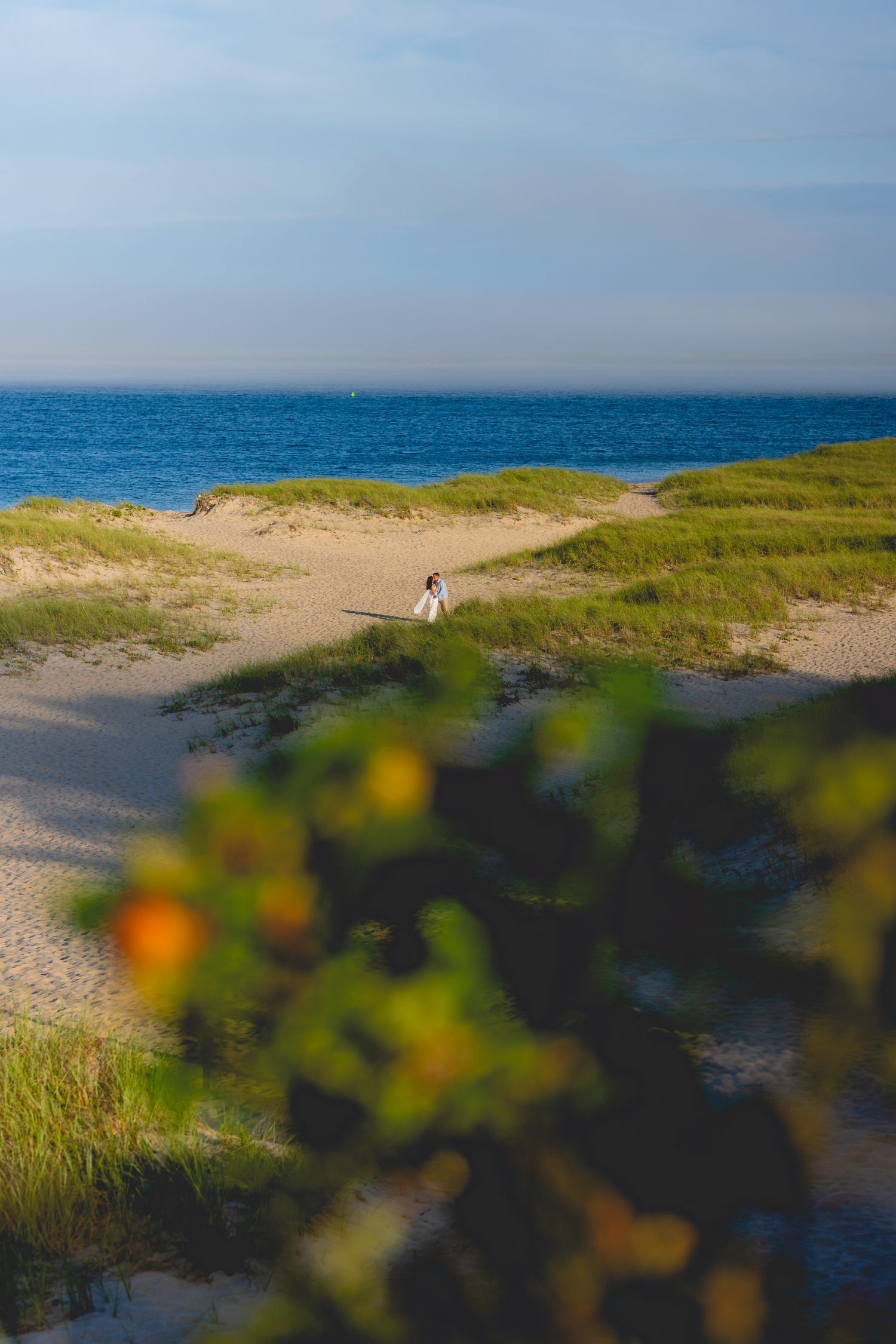 A sandy coastal path leads through green dunes to the blue ocean on a bright summer day.