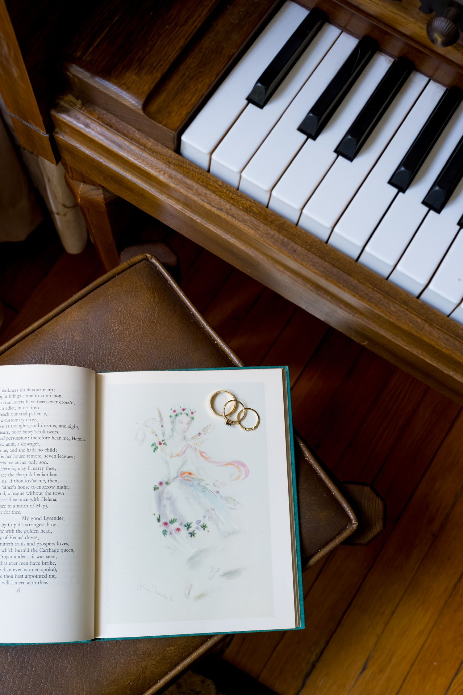 Open book with delicate watercolor illustrations resting on a wooden piano keyboard.