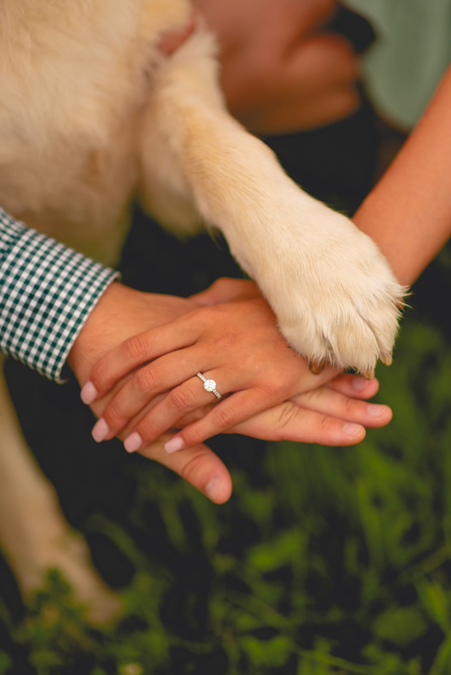 Close-up of hands with an engagement ring and a dog's paw on a checkered fabric.