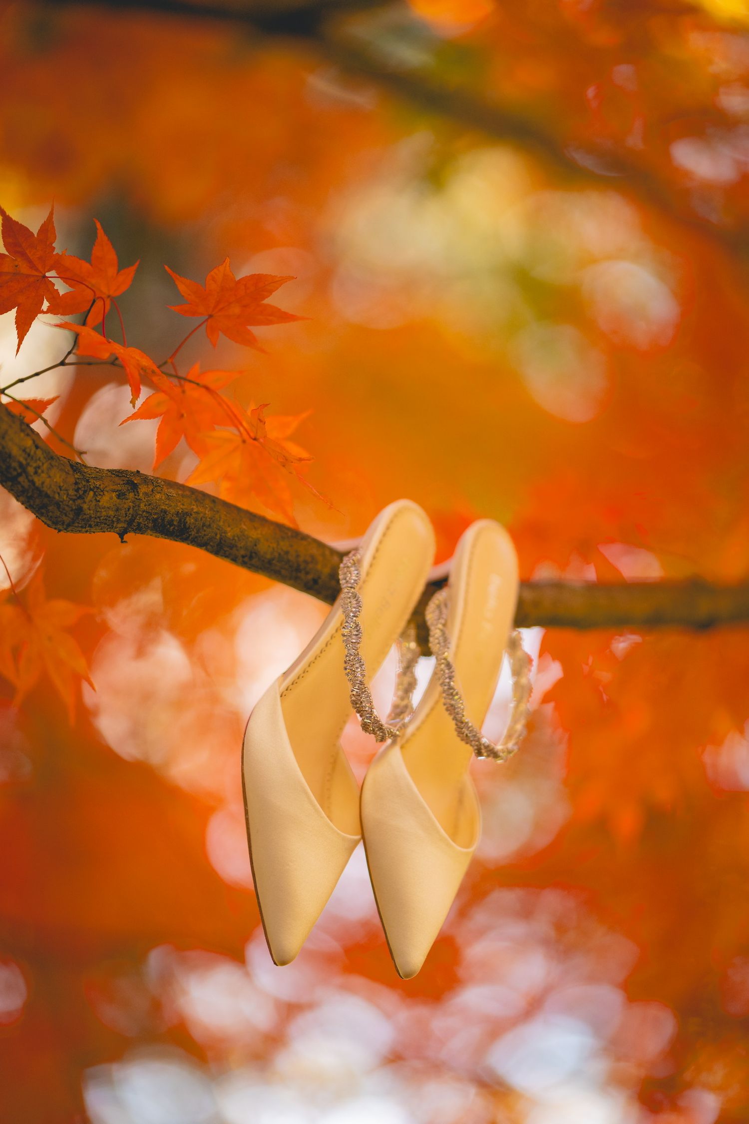 Wedding shoes artistically photographed against vibrant orange fall maple leaves in Connecticut.