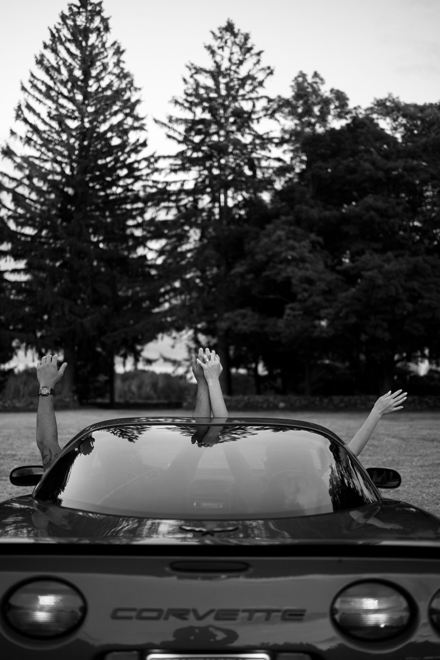 Car headlights shine through evergreen trees in a black and white photograph.