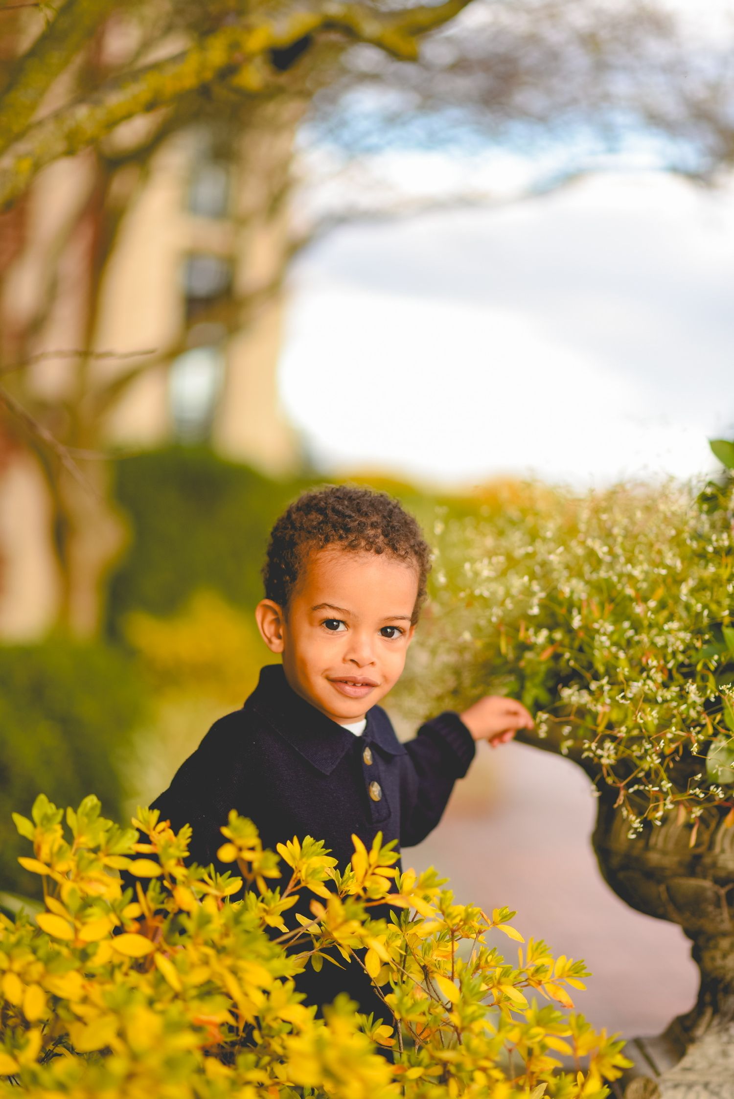 Young child peeks through yellow flowers in a garden during golden hour.