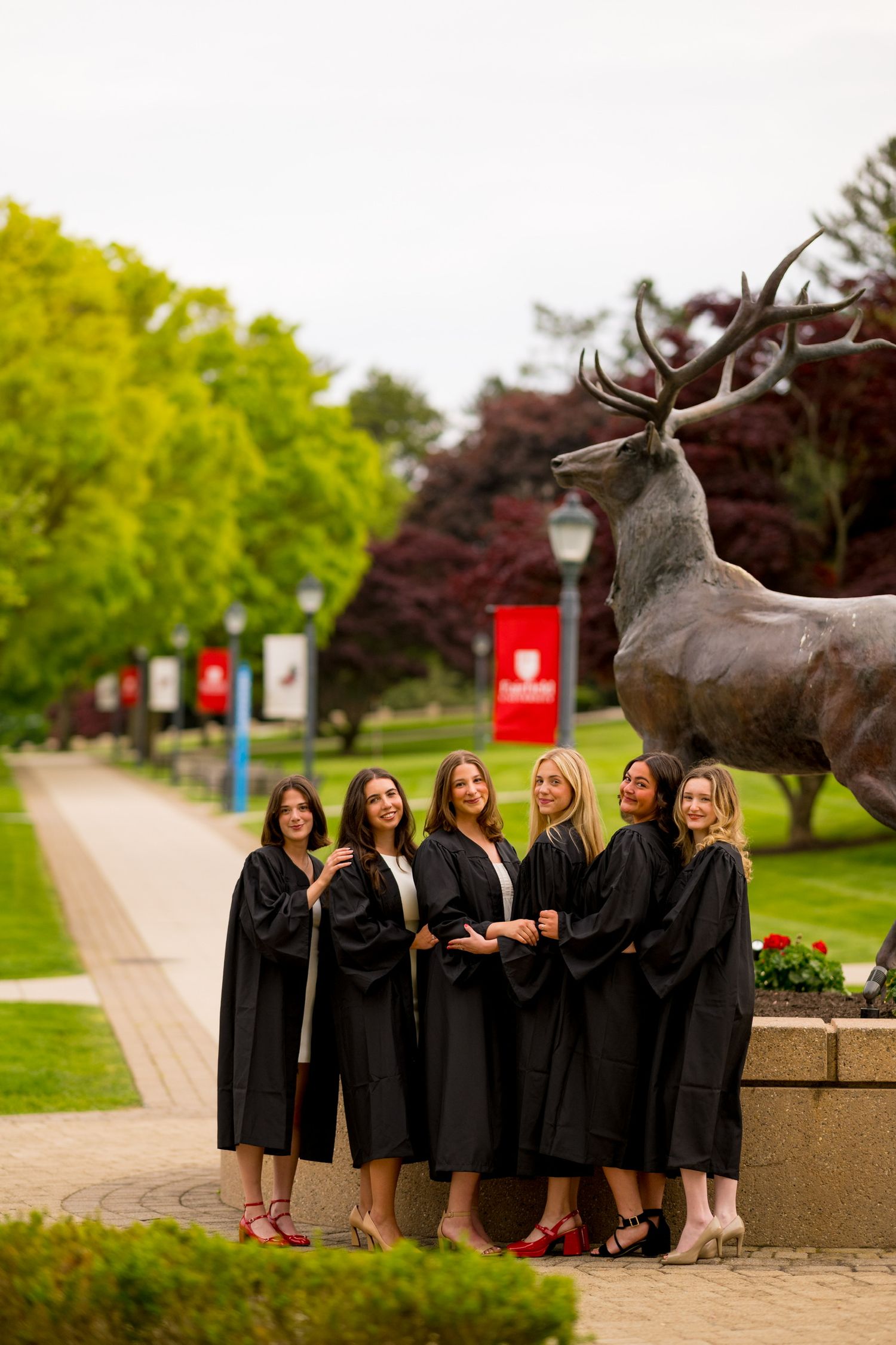 Fairfield University graduates in black robes pose together near bronze stag statue on university campus for graduation photos.