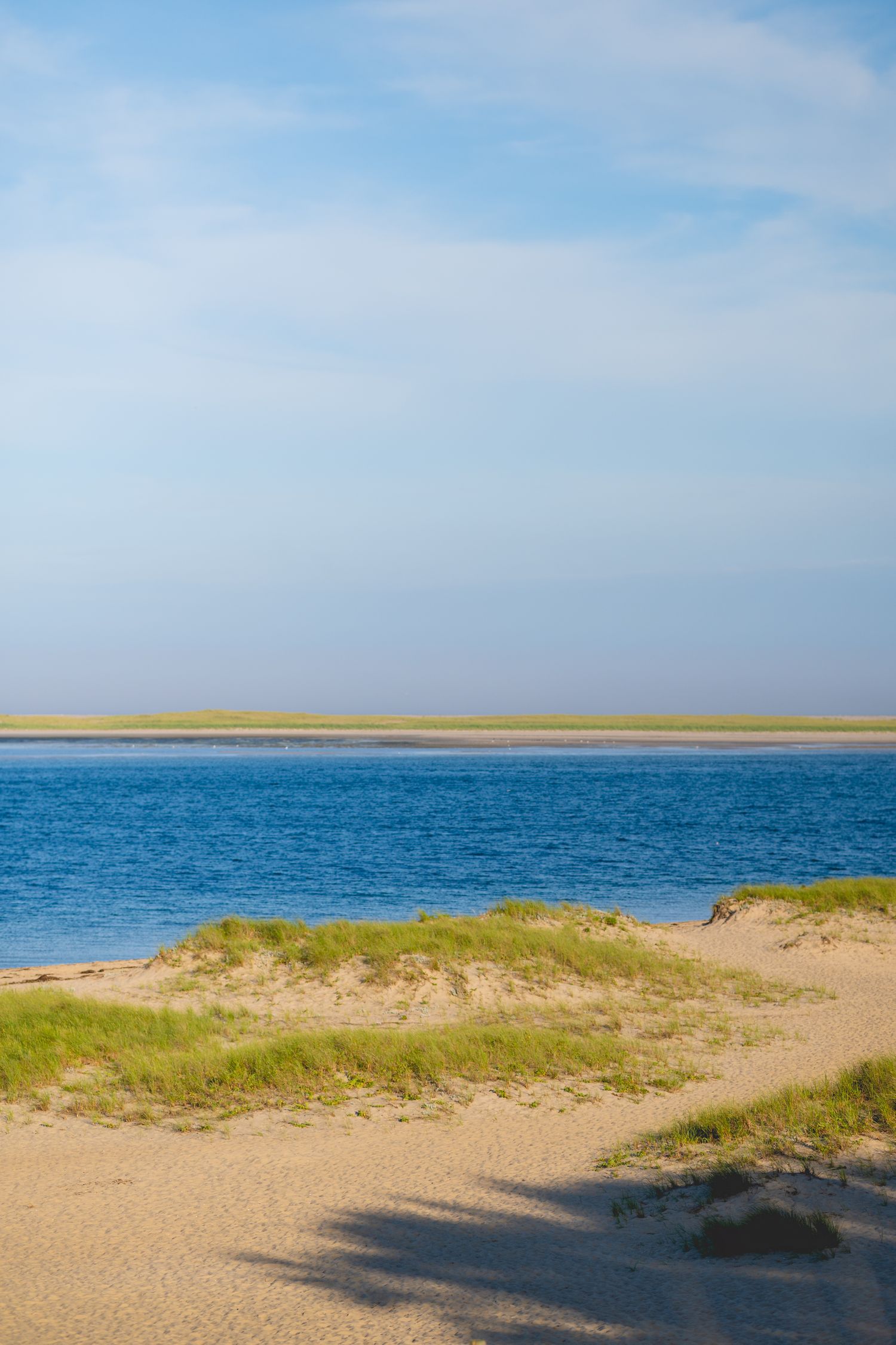 Sandy beach dunes meet the blue ocean horizon under a clear summer sky on a pristine coastline.