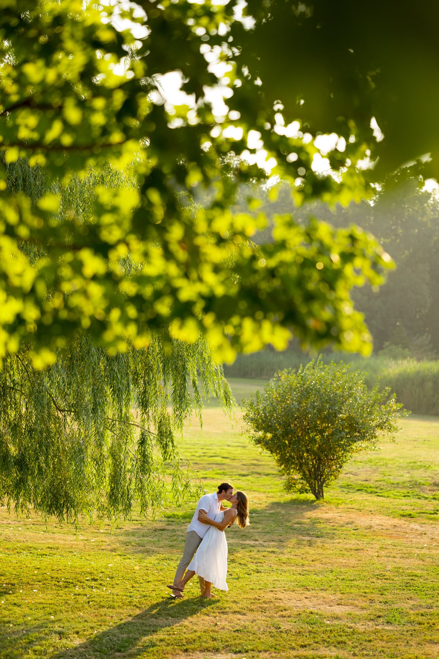 A romantic sunset scene in a grassy field with trees and golden sunlight filtering through leaves.