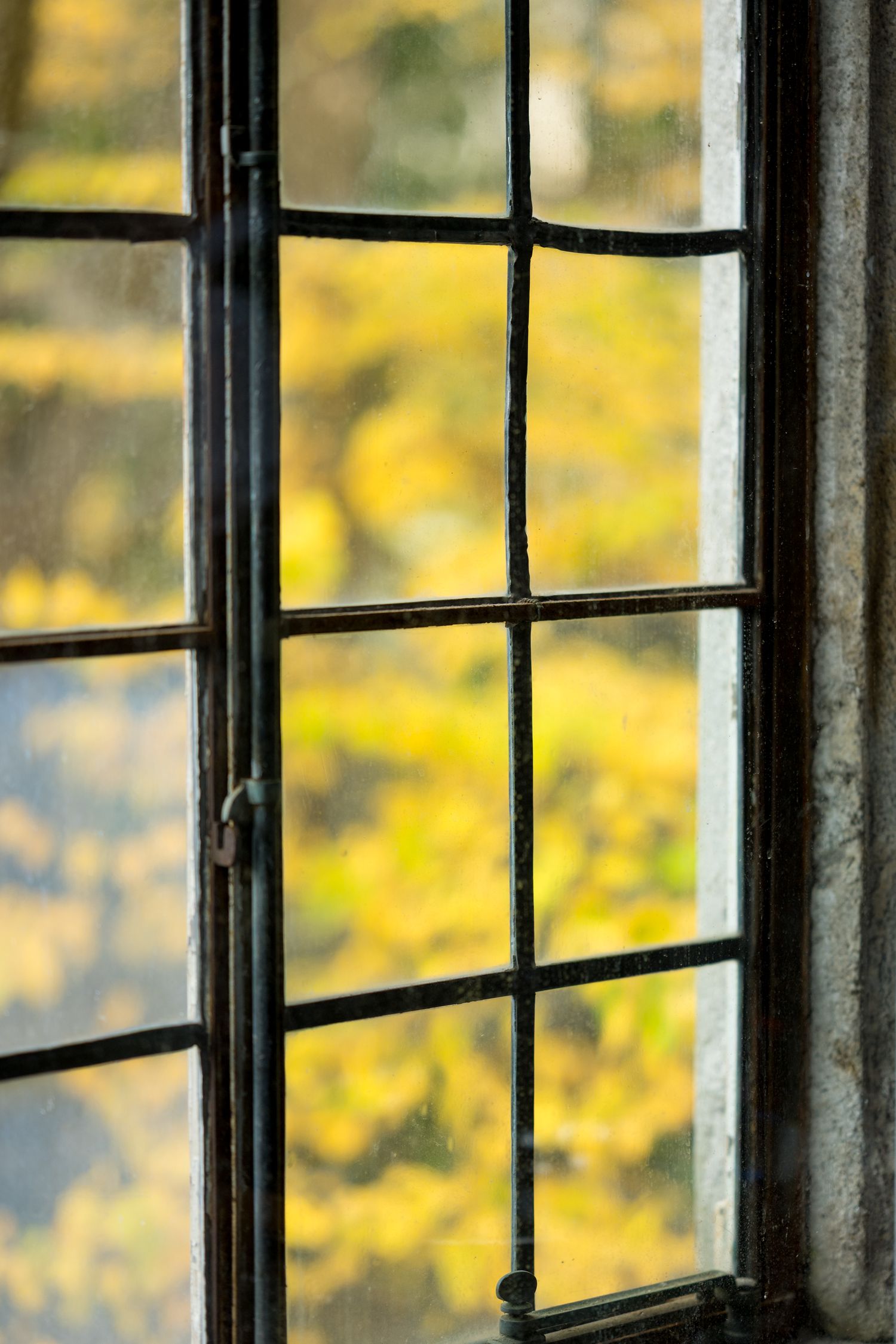 Black metal window frames create geometric patterns against a soft yellow outdoor background.