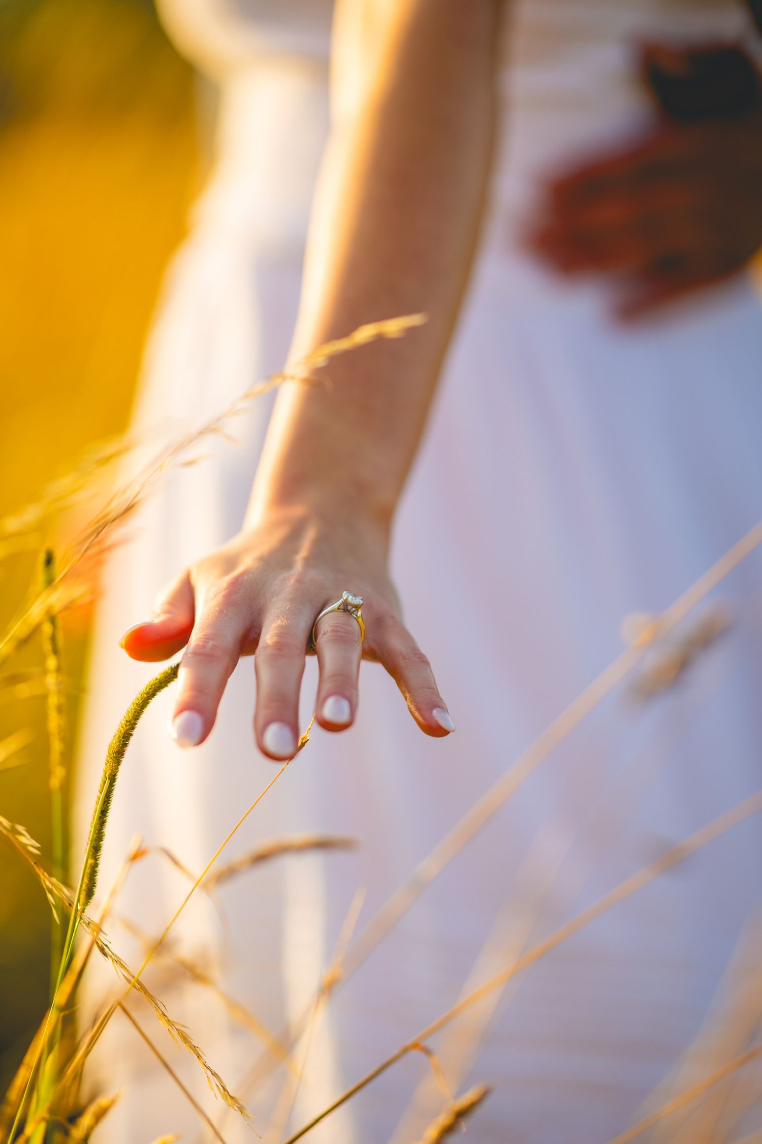 Hands gently touching tall grass in golden sunlight.