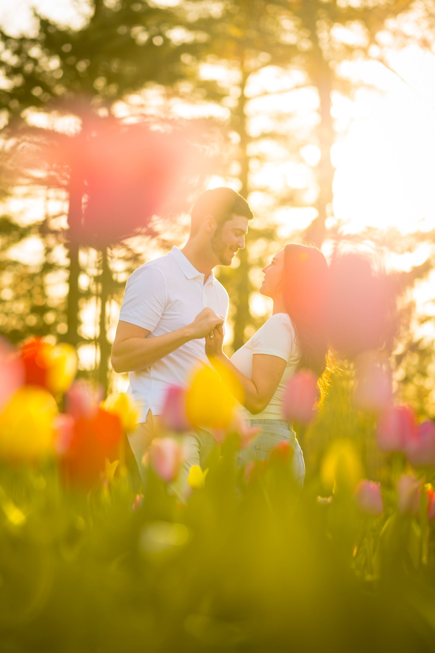 Intimate moment captured through colorful tulips at sunset in a garden.