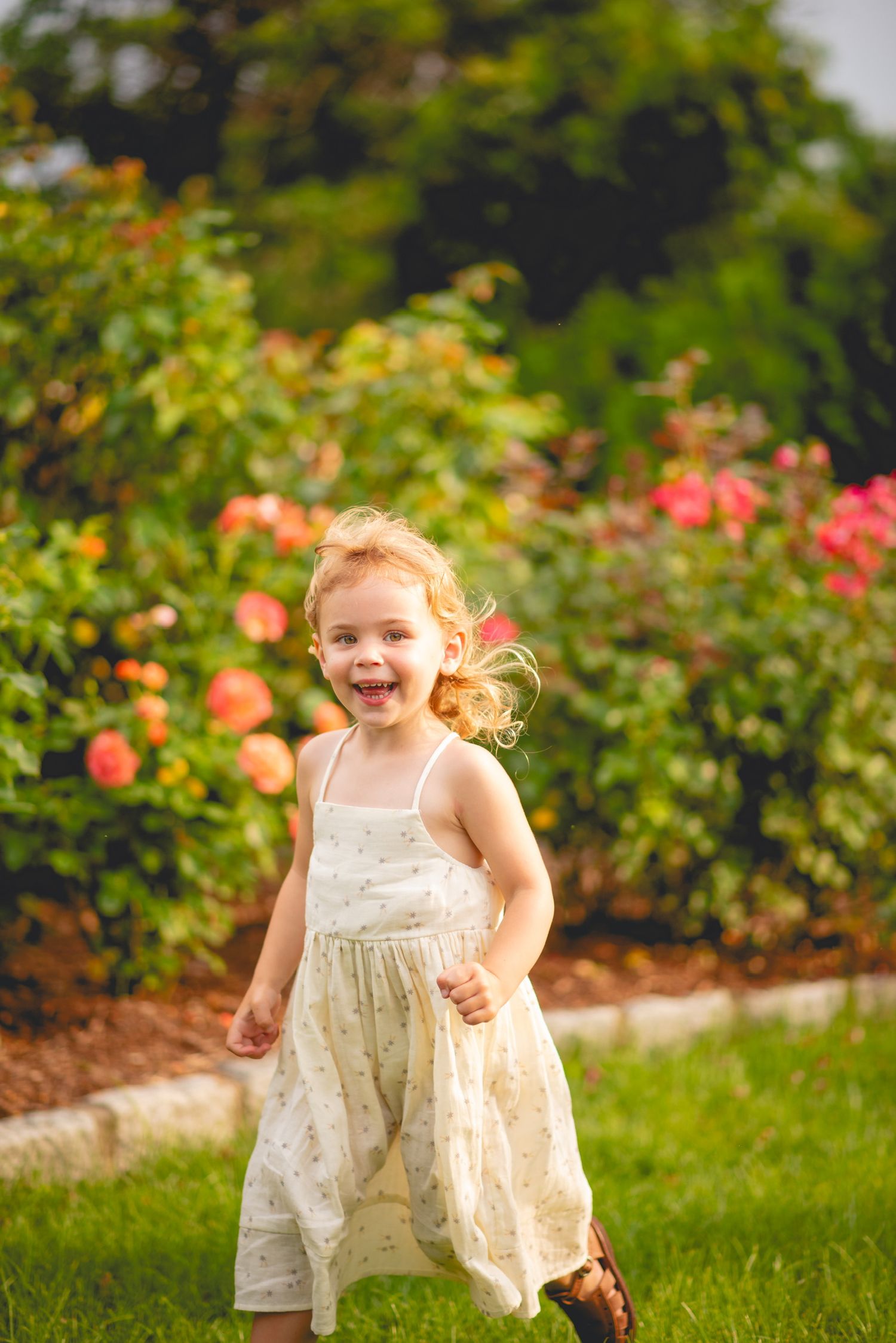 Young child in white dress running and playing in garden with blooming roses.