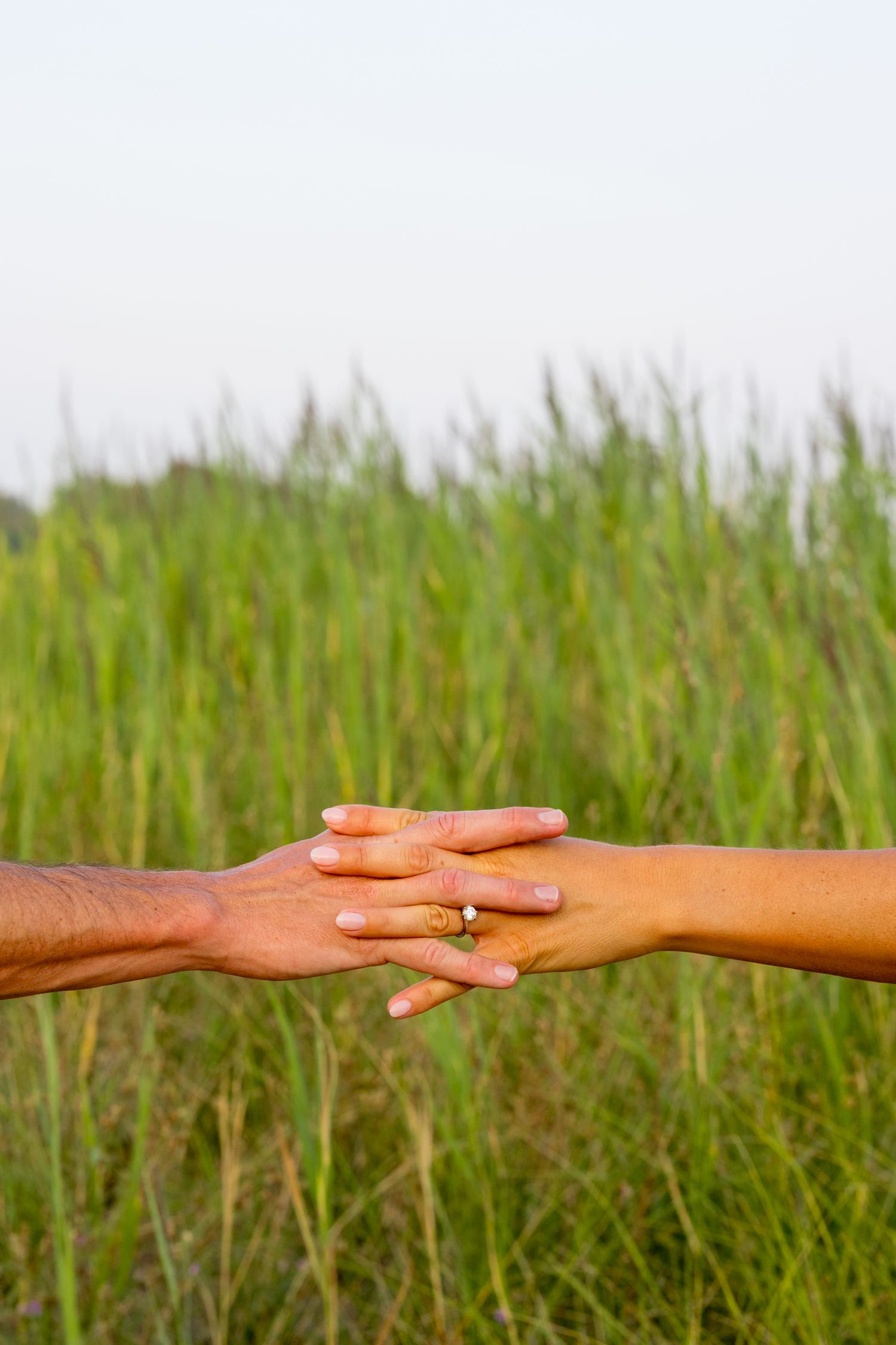 Two hands reaching toward each other against a background of tall green grass.