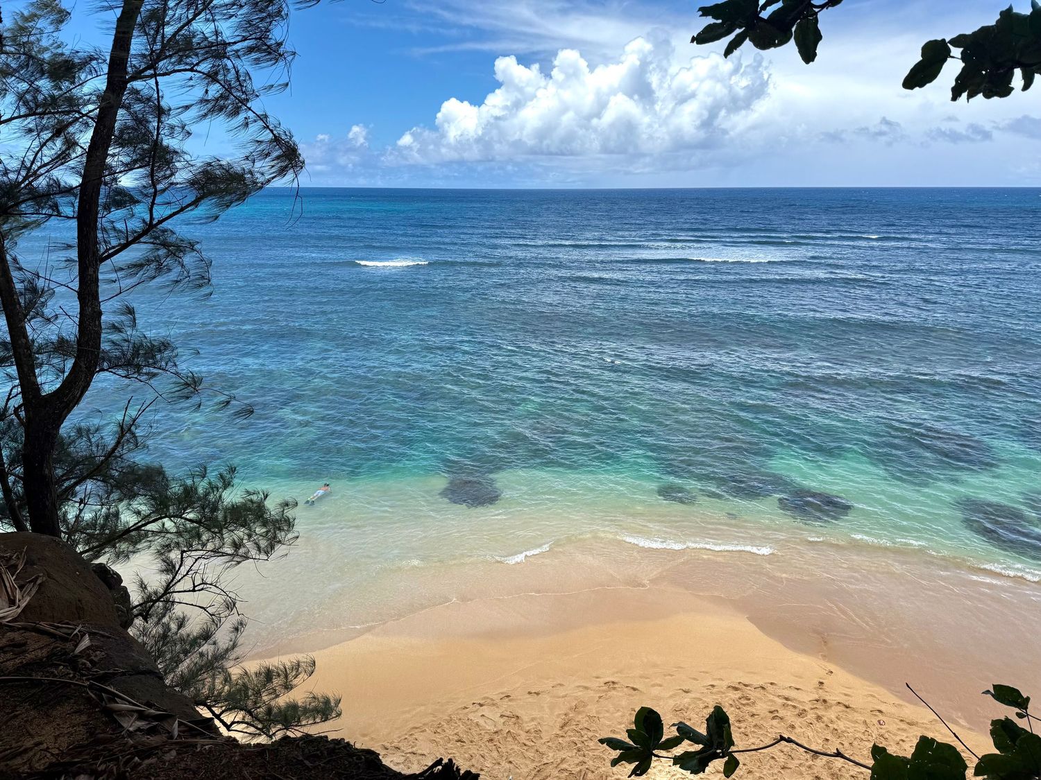 Pristine tropical beach cove with turquoise water and overhanging trees.
