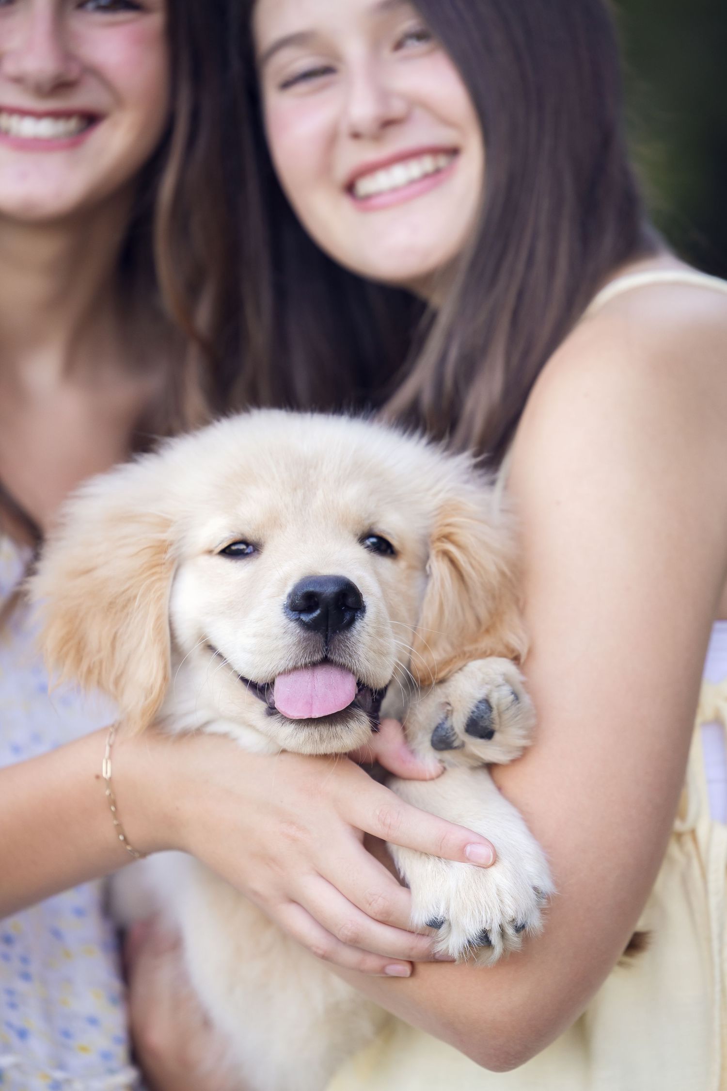 A happy Golden Retriever puppy smiles while being held and cuddled.