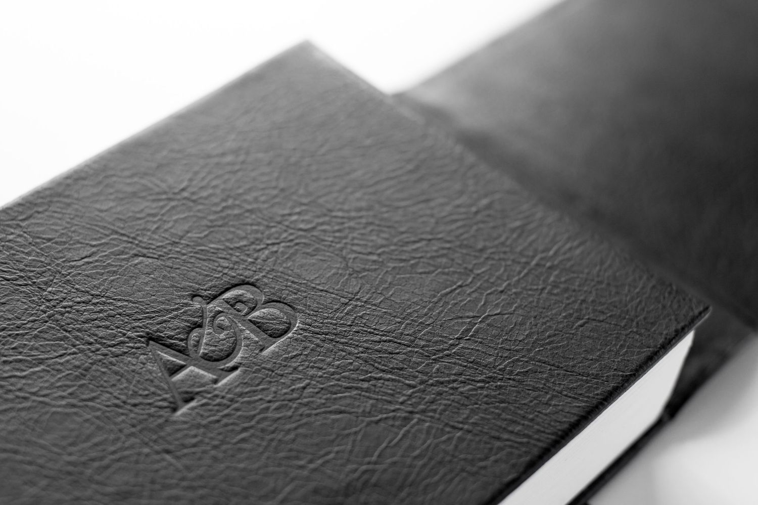 Artistic black and white macro shot of textured leather material.