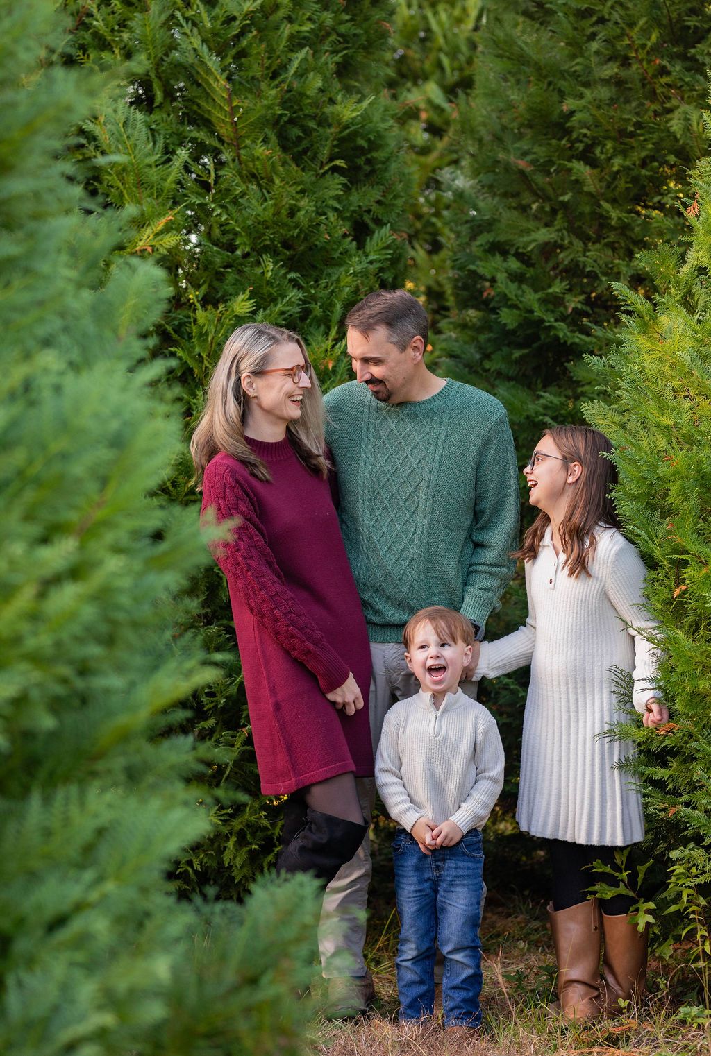 Family of four laughing together among evergreen trees at a Christmas tree farm during a holiday photo session.