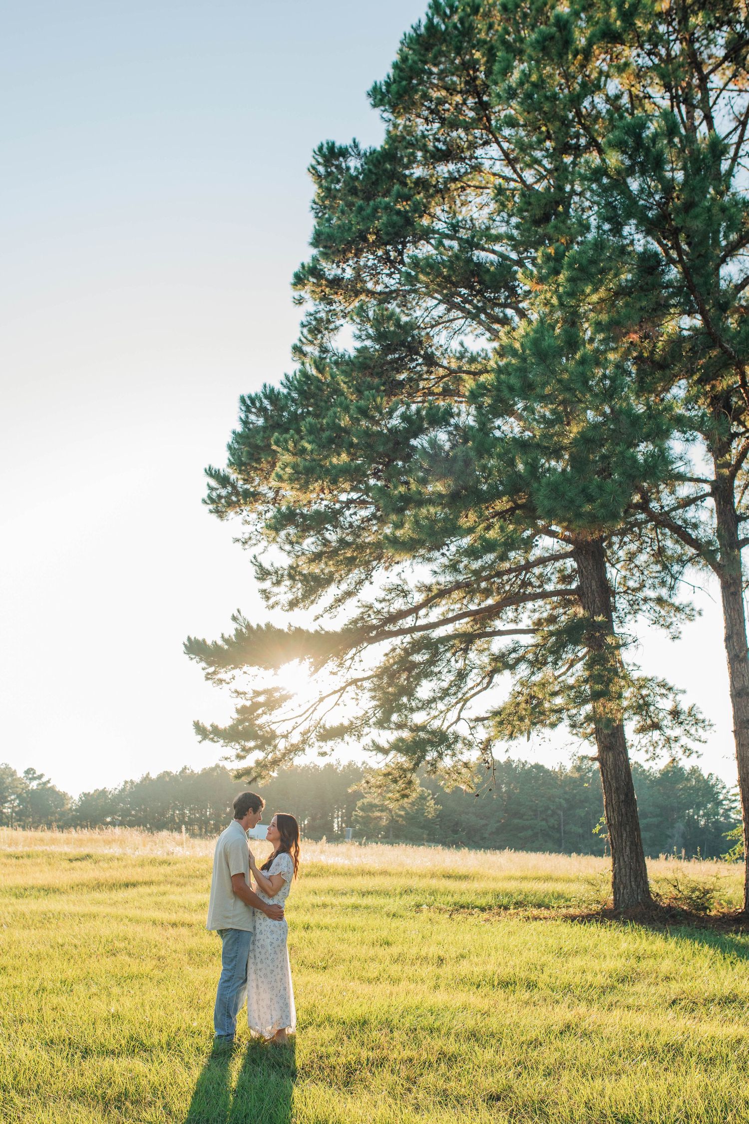 Couple shares tender moments in a grassy field with tall pine trees and warm sunlight.