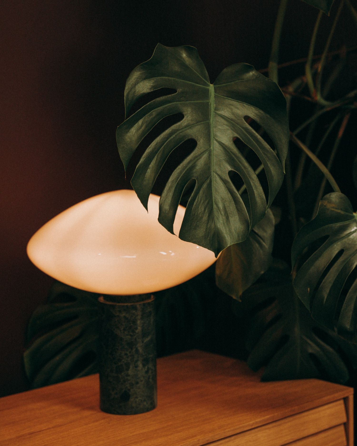 Modern table lamp framed by monstera leaves in ambient light — styled and photographed in Dublin by Sigi Photography.