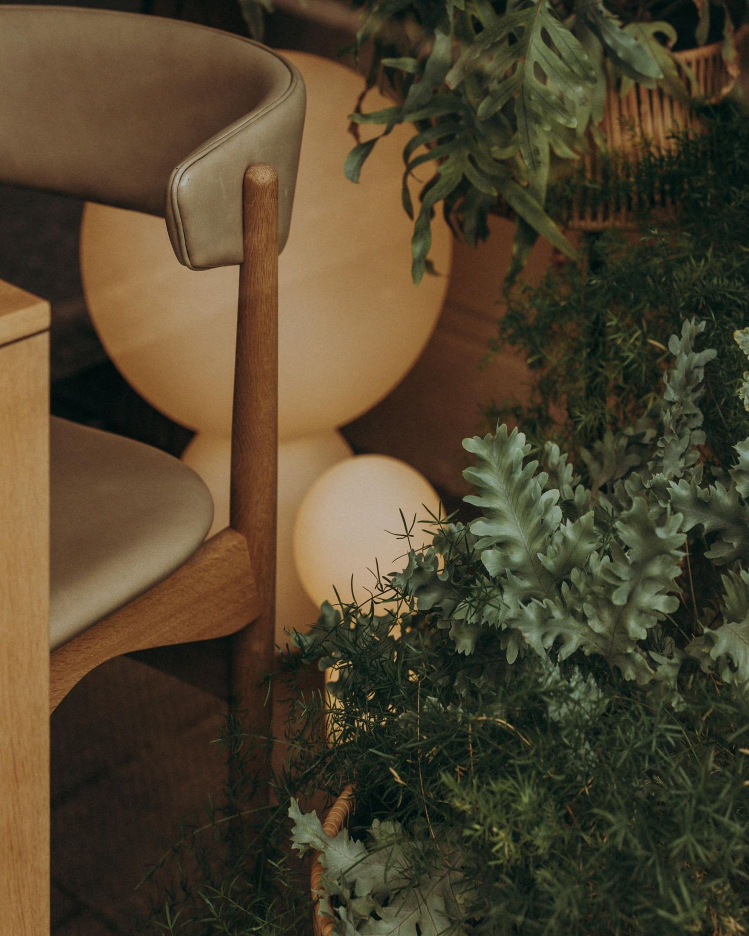 Lush indoor greenery beside a soft-leather chair and sculptural glowing orbs, creating a calm and earthy Nordic-style corner in Dublin.