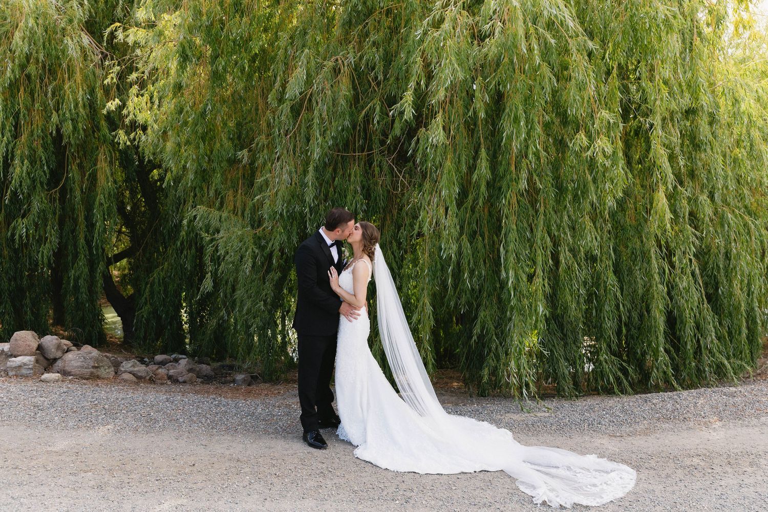 A romantic wedding moment under cascading willow trees with a flowing white dress train.