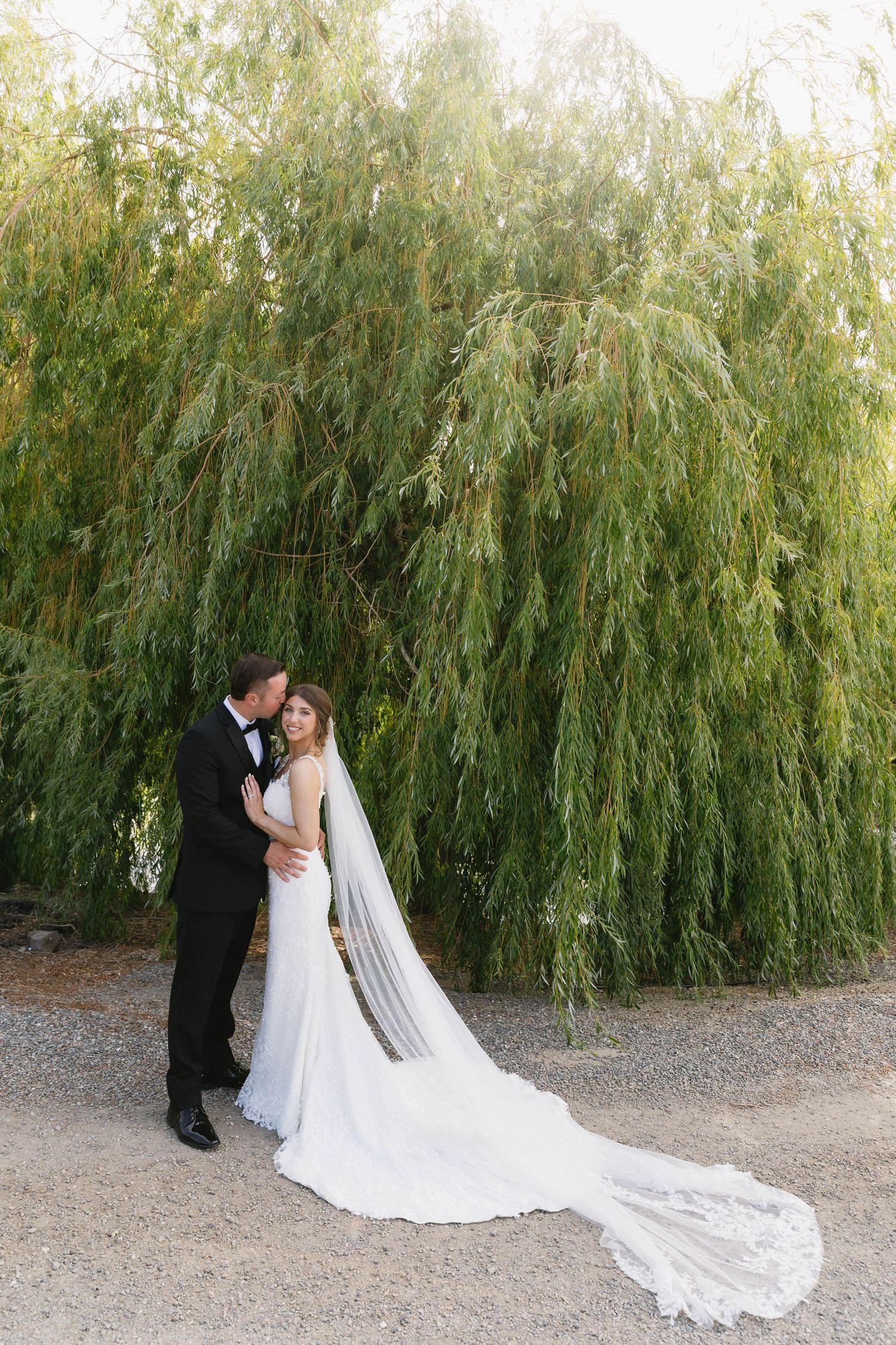 Romantic wedding couple poses under drooping willow trees in an outdoor garden setting.