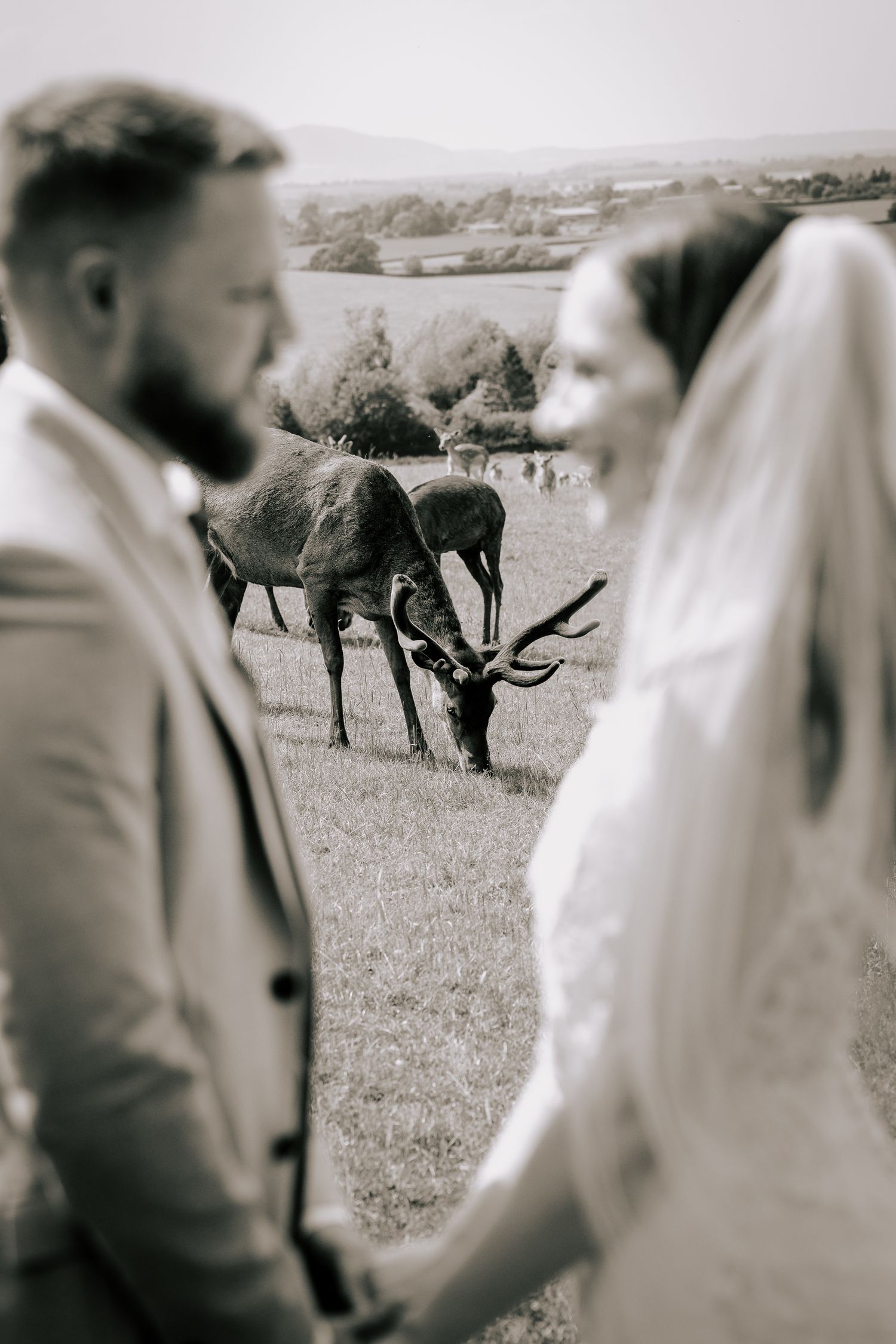 A black and white wedding photo with a deer grazing in the background of the countryside scene.