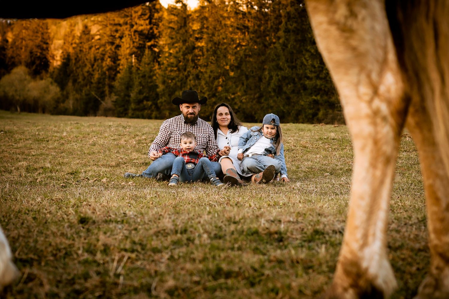 A family of four sits together on a grassy field at sunset with a horse in the foreground.