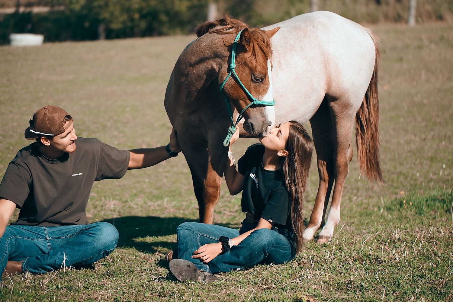 People sitting with horses in a sunny field during a relaxation session.