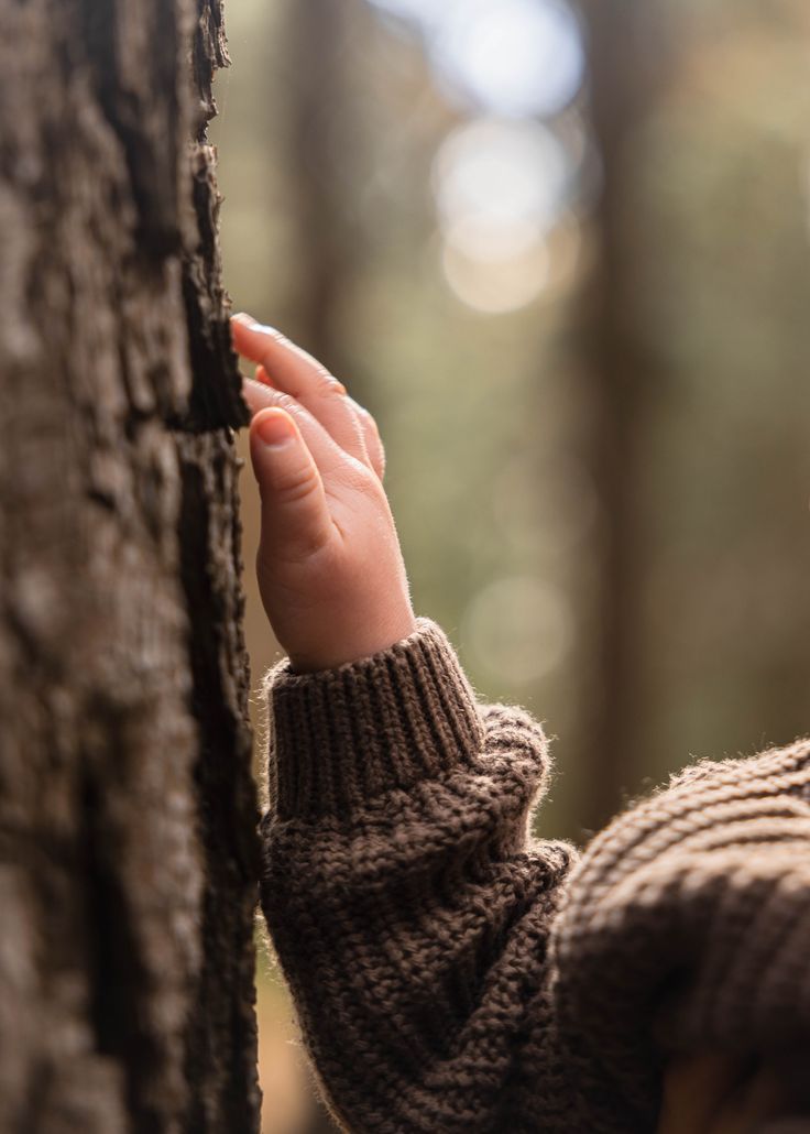 A child's hand in a knit sweater gently touches the rough bark of a tree in a sunlit forest.