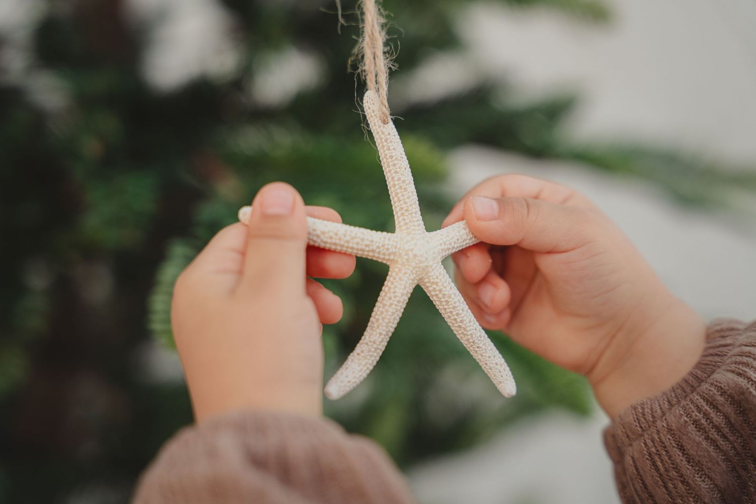 Child's hands holding a white starfish ornament on twine string with Christmas tree in background.