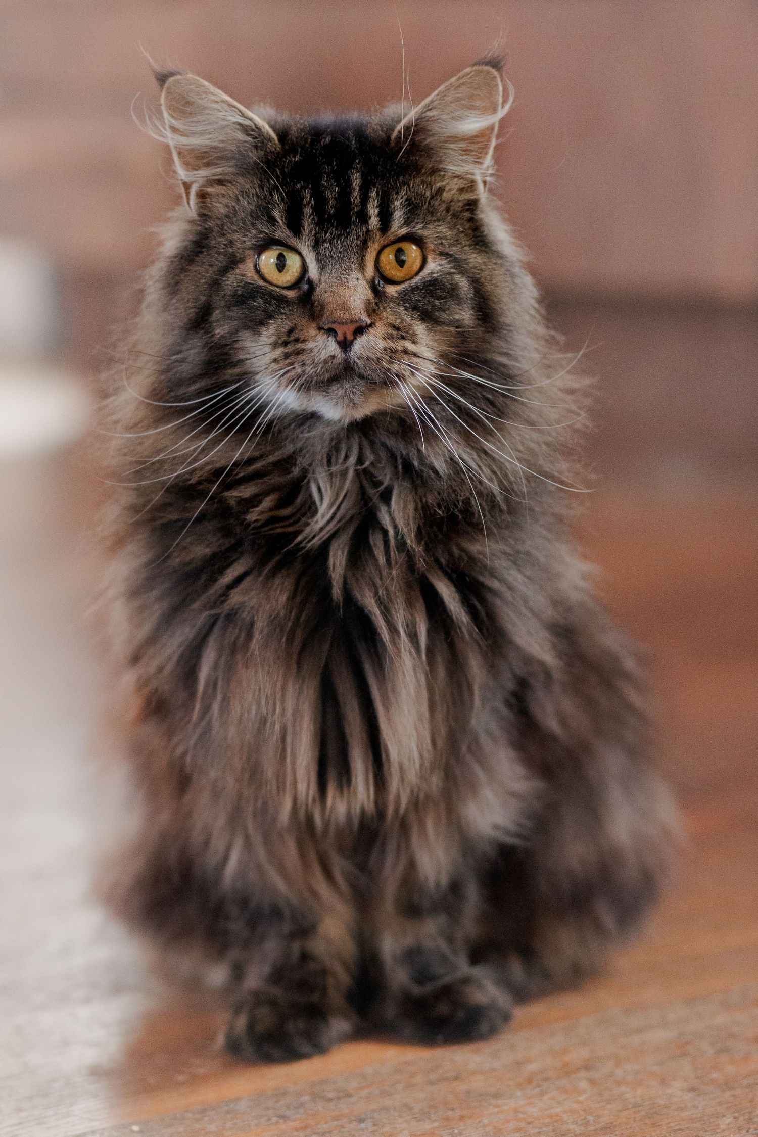 photographie animalière
