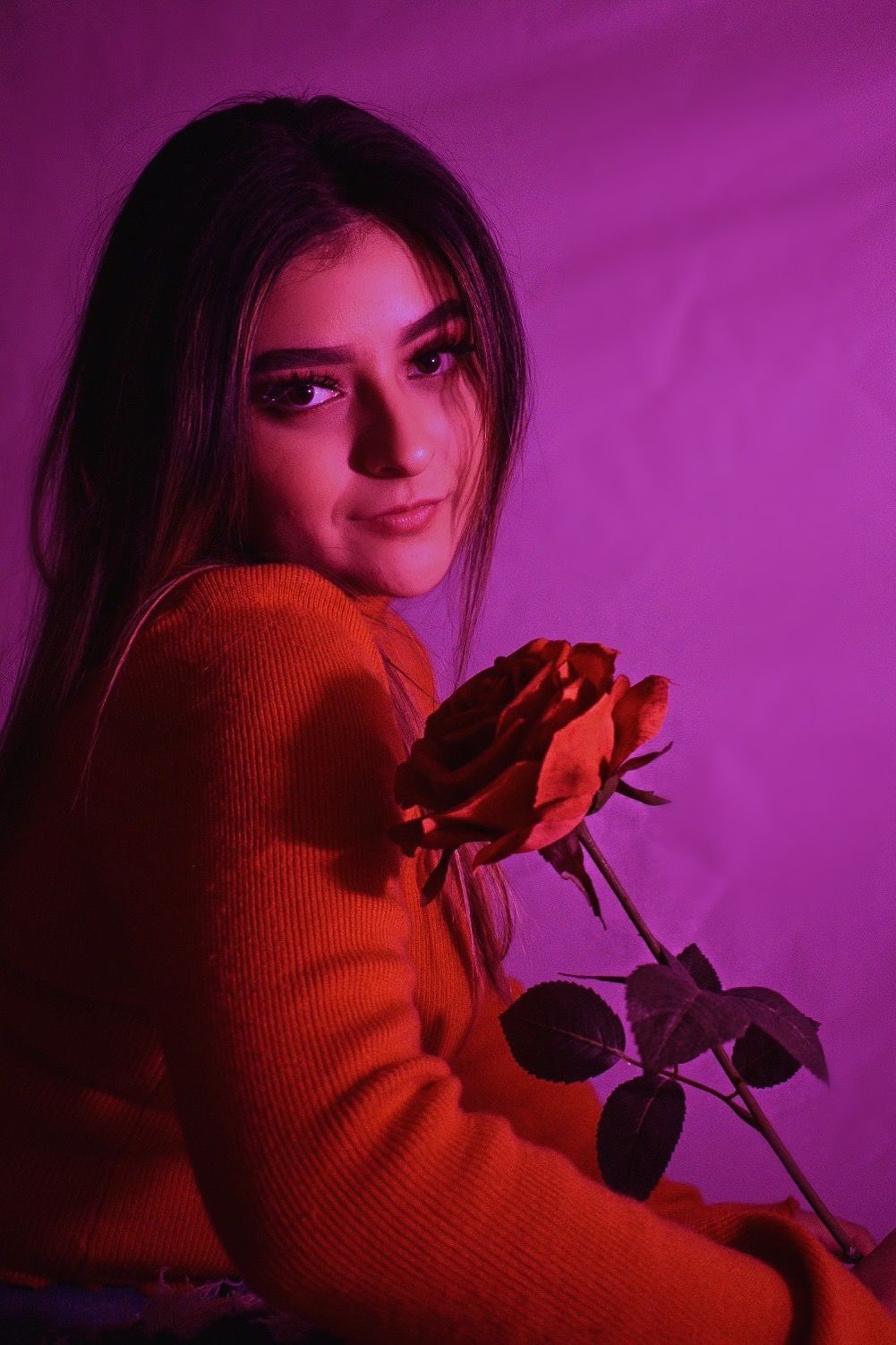 Portrait in vibrant pink lighting featuring a red sweater and single rose creating a romantic mood.