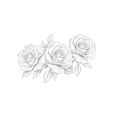 Delicate pencil sketch illustration of three roses with leaves on a white background.