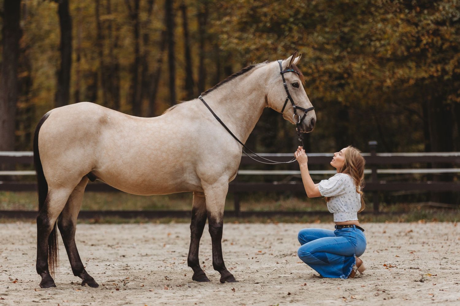 equine