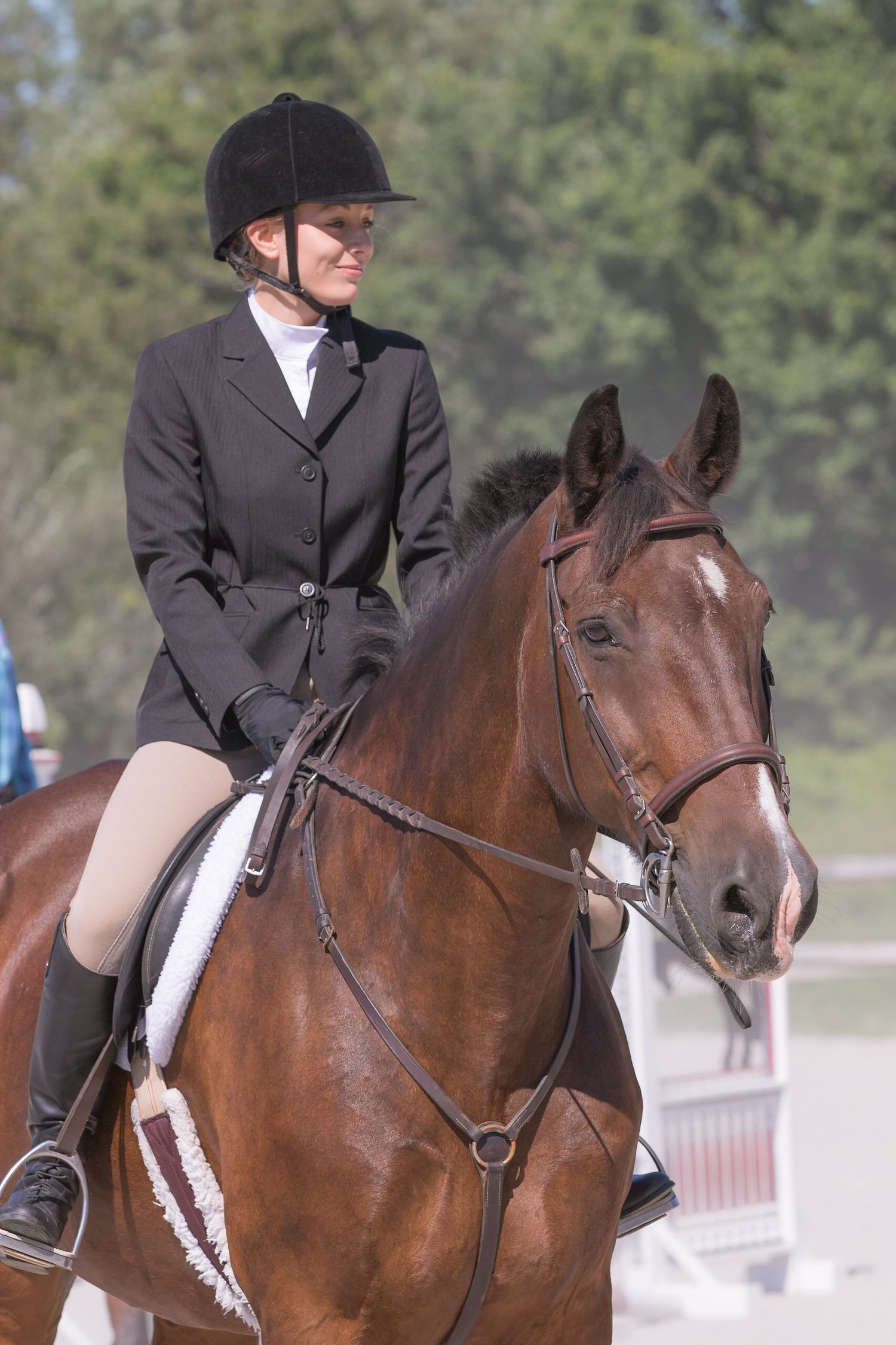 equine