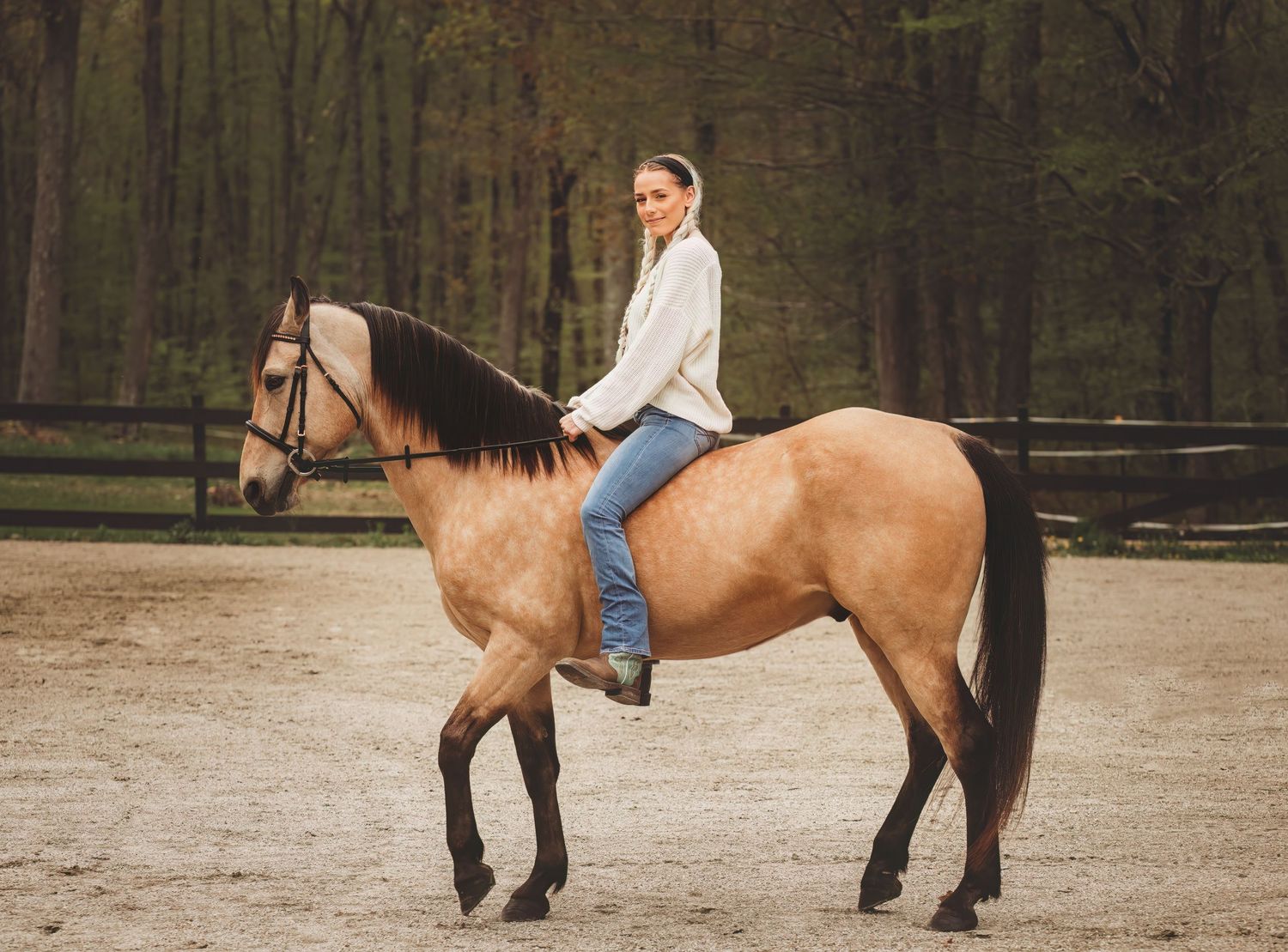 equine