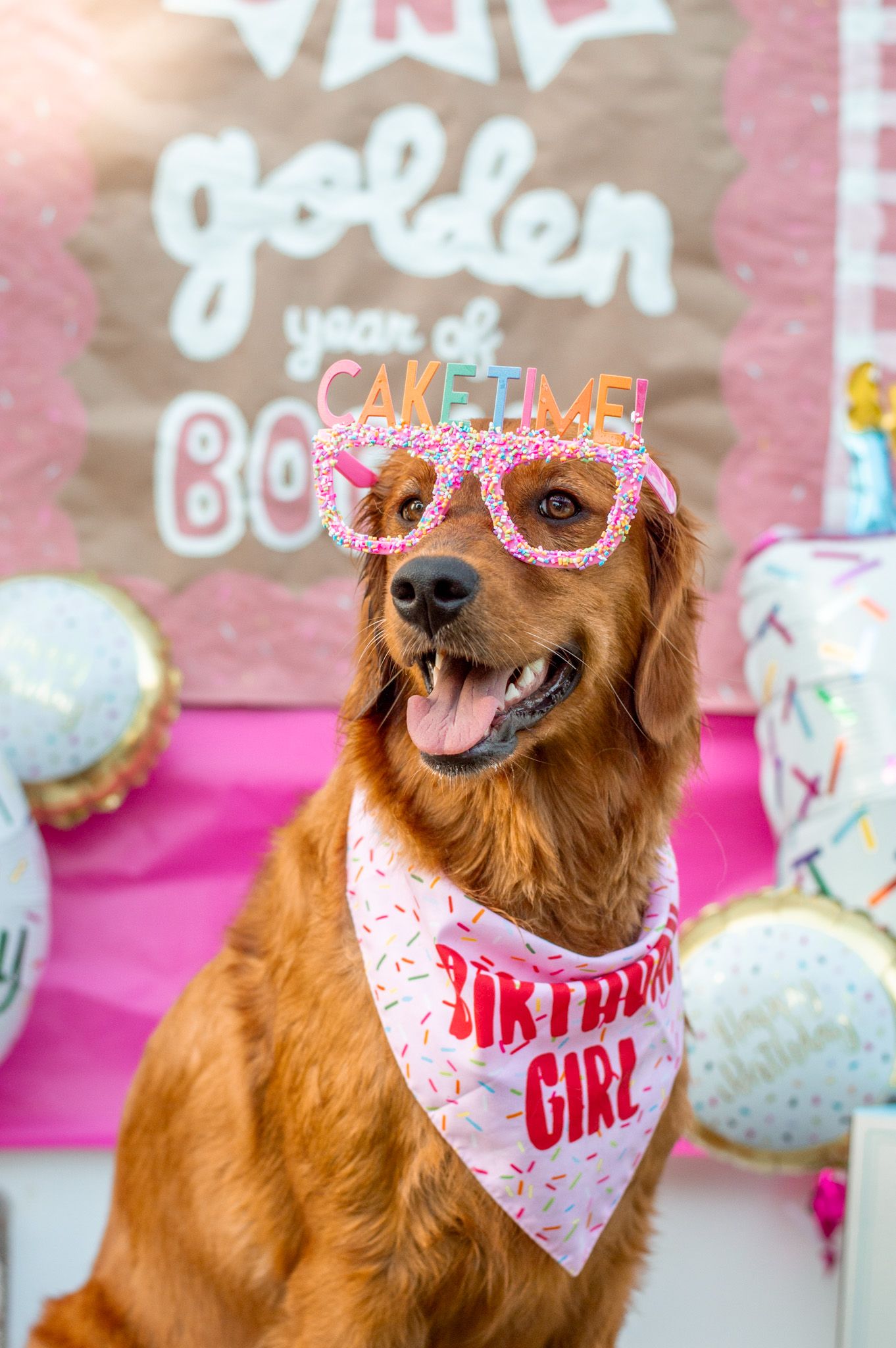 Portrait Photography: Themed Pet Portrait
