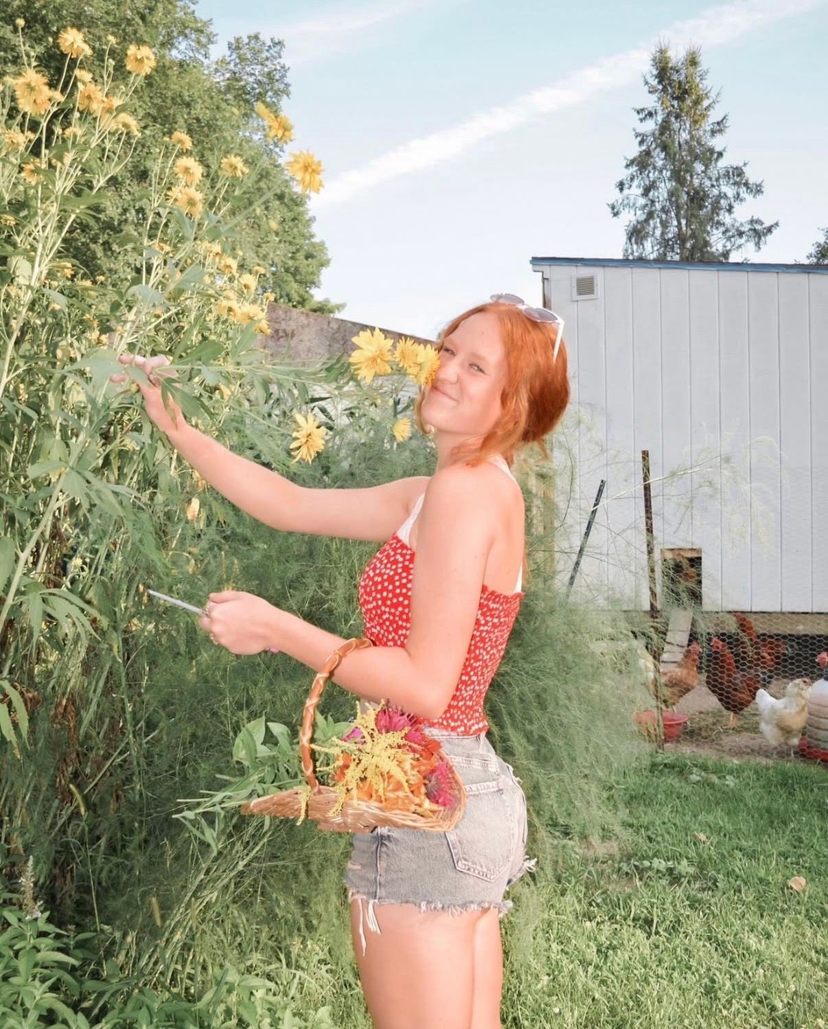 Skyler Hauser: SkyLight Photography- Portait & Lifestyle Photography